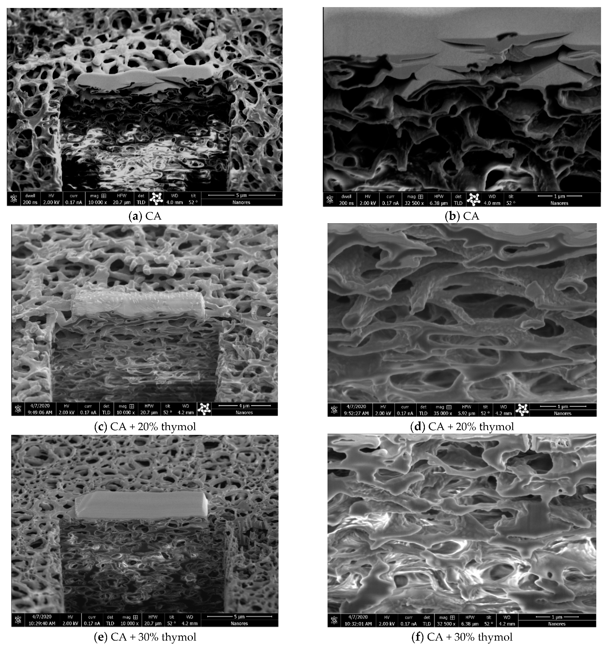 Molecules 26 00411 g004