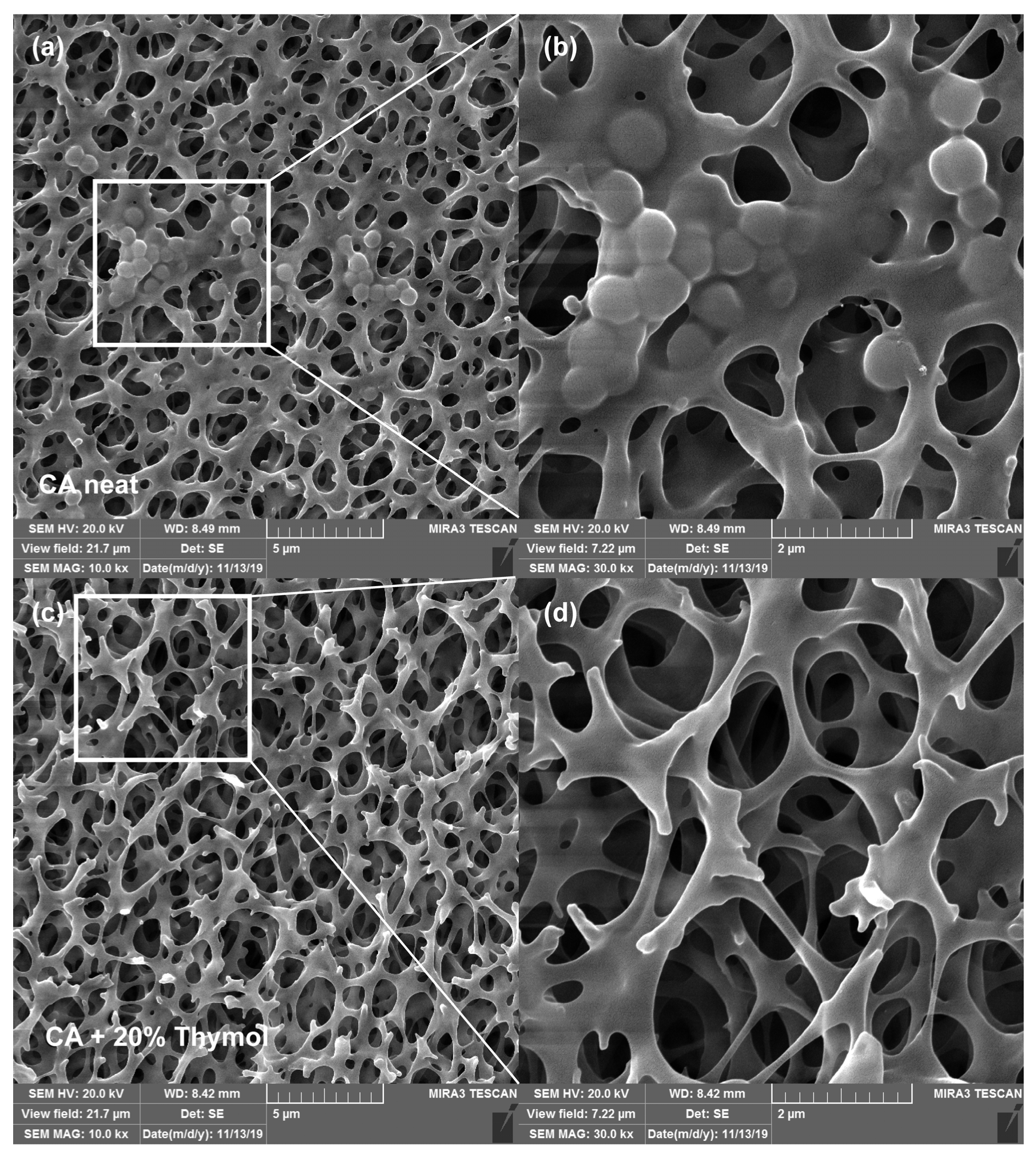 Molecules 26 00411 g005