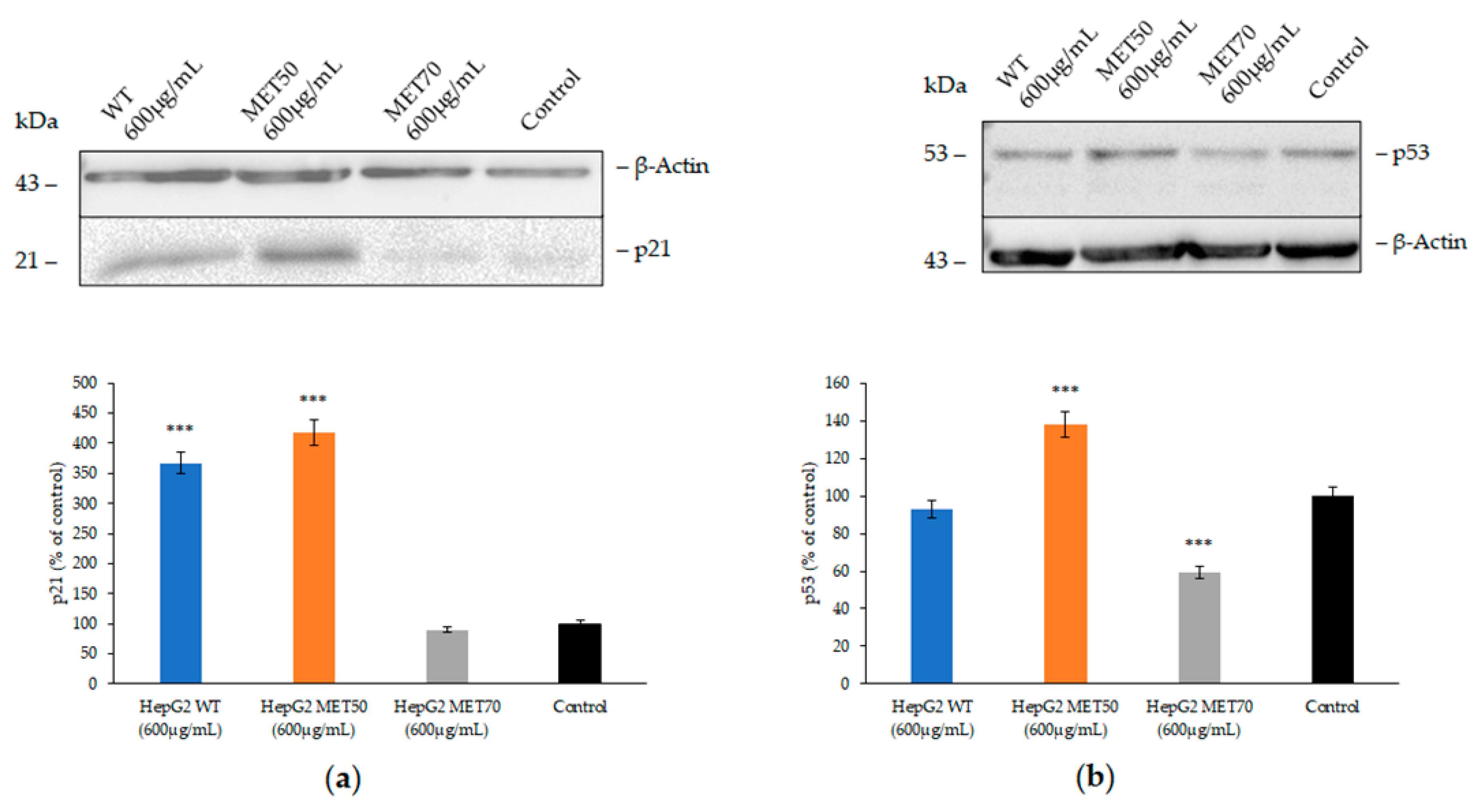 Molecules 26 00416 g004