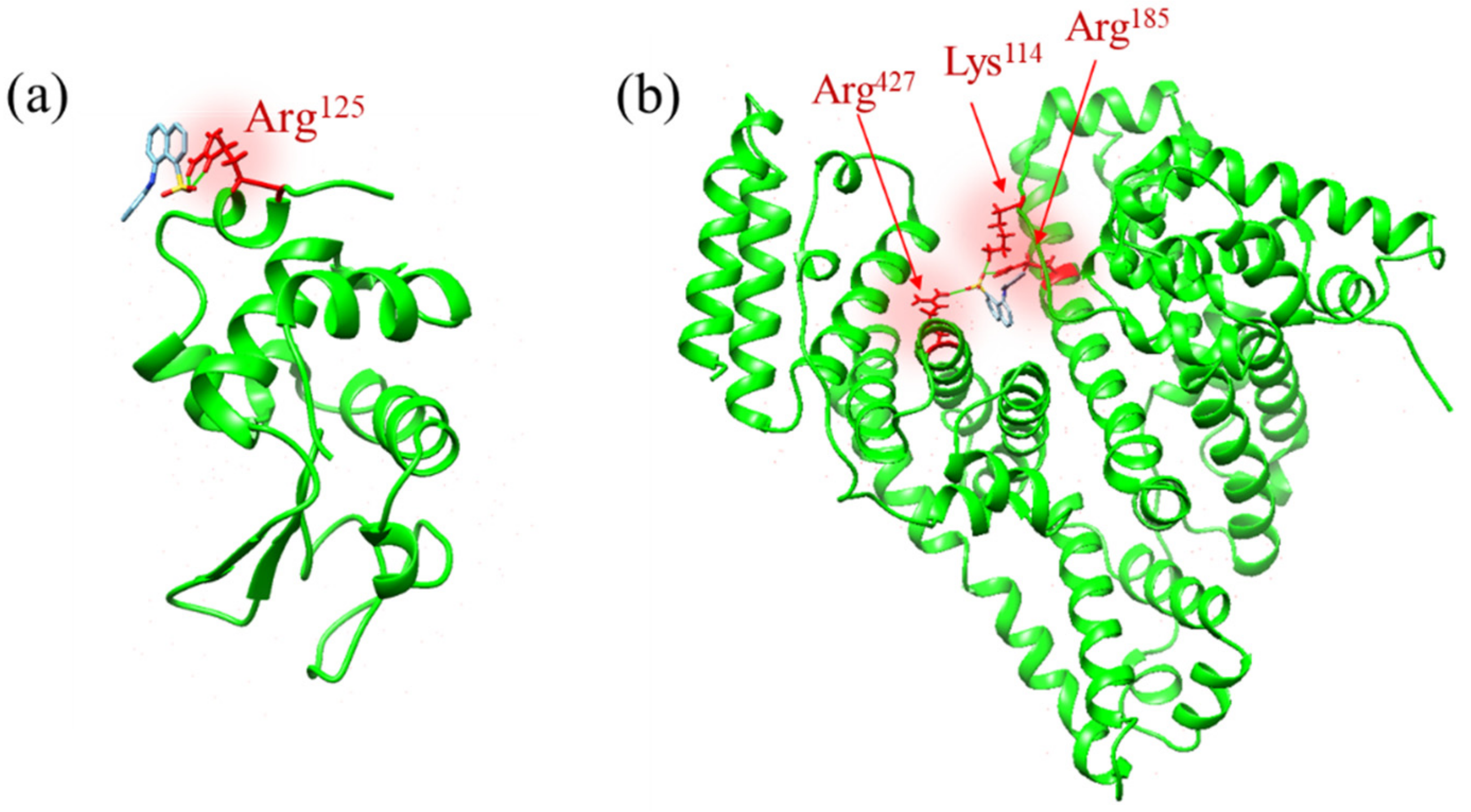 Molecules 26 00420 g003