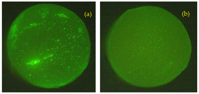 Molecules 26 00424 g016
