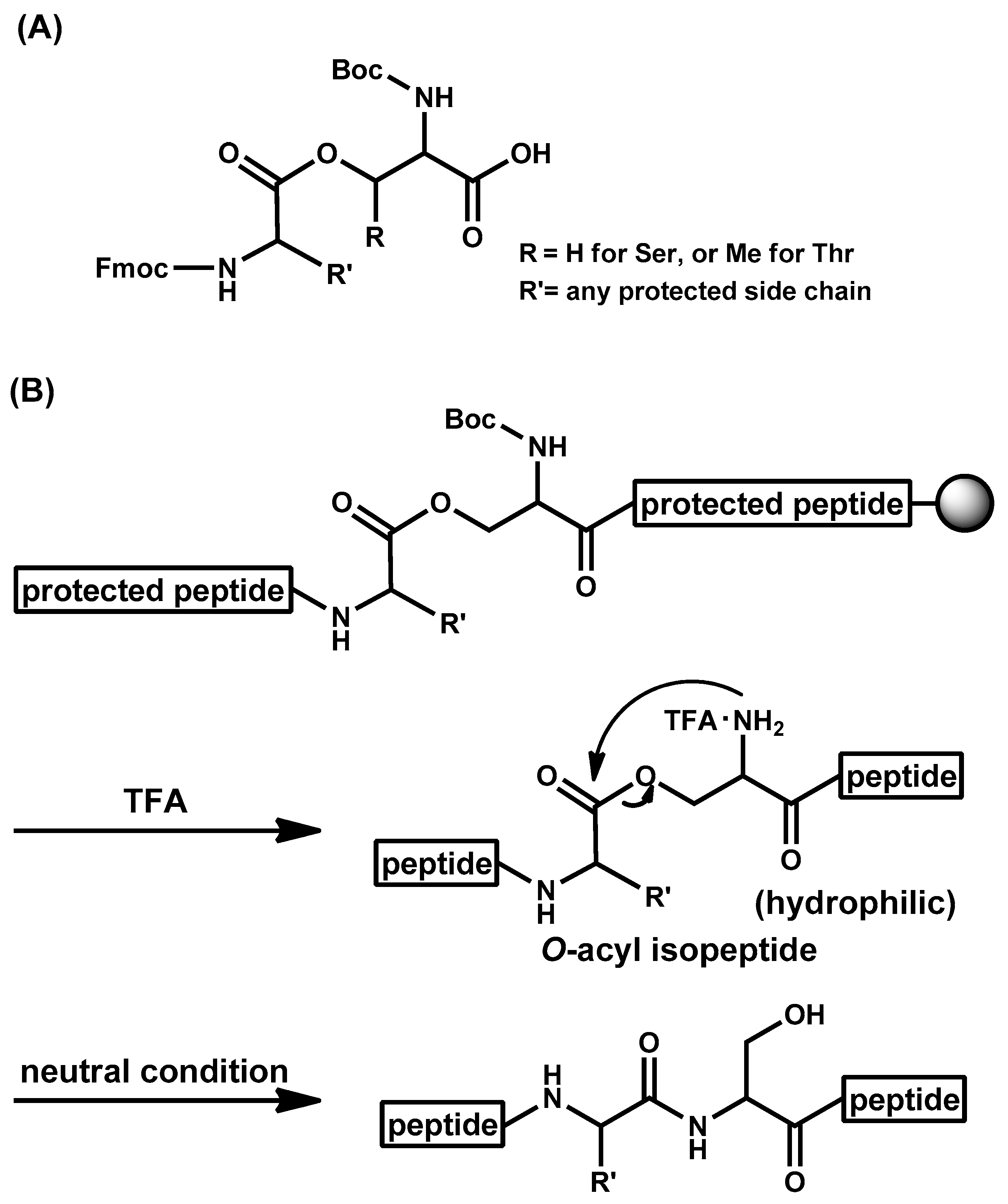 Molecules 26 00430 g006