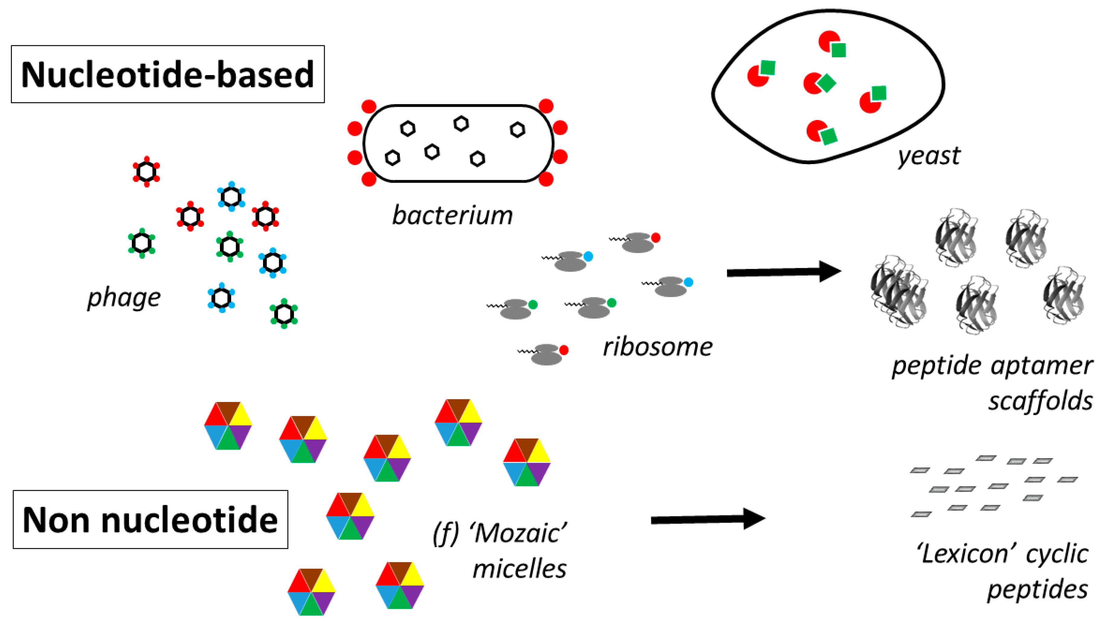 Molecules 26 00430 g009