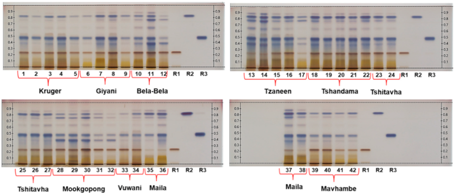 Molecules 26 00432 g001