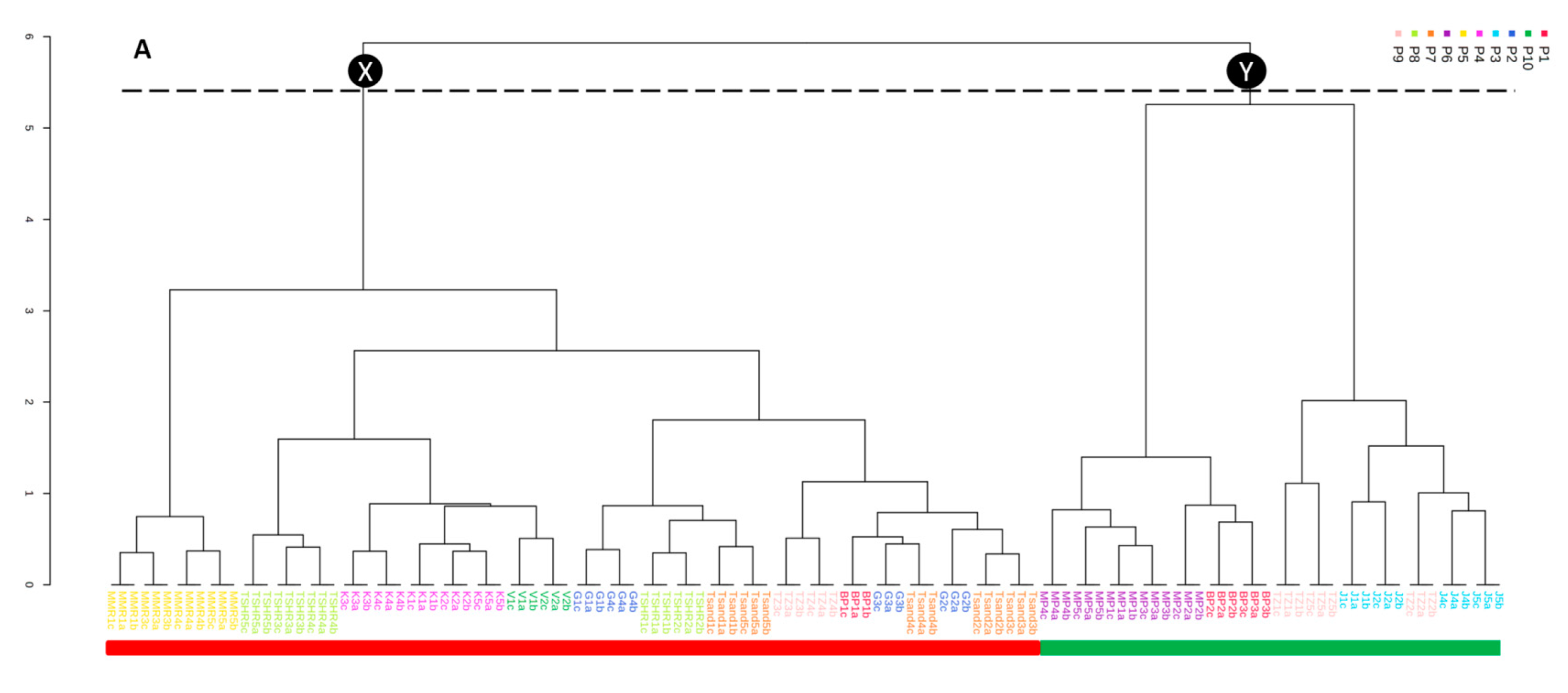 Molecules 26 00432 g004a
