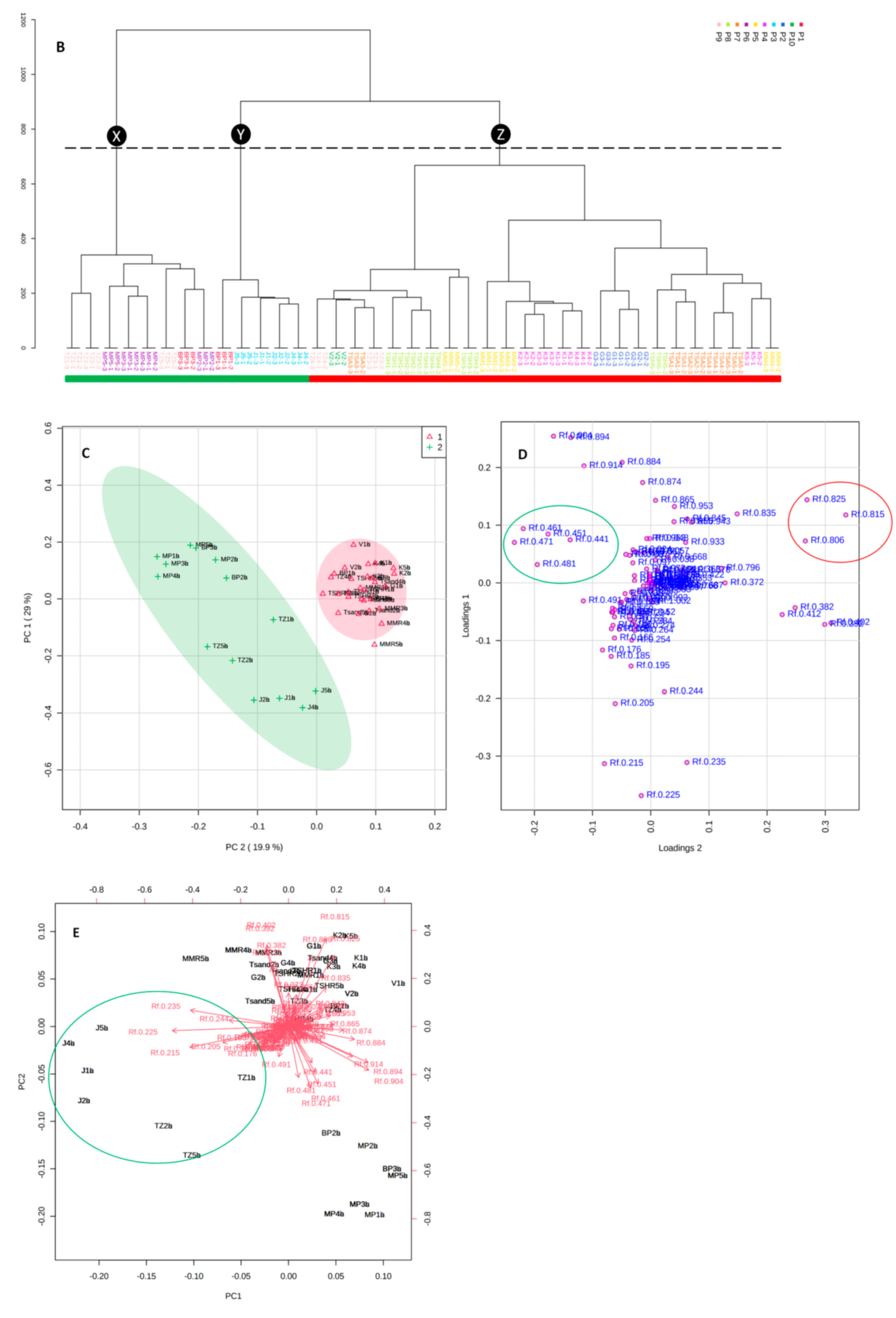 Molecules 26 00432 g004b