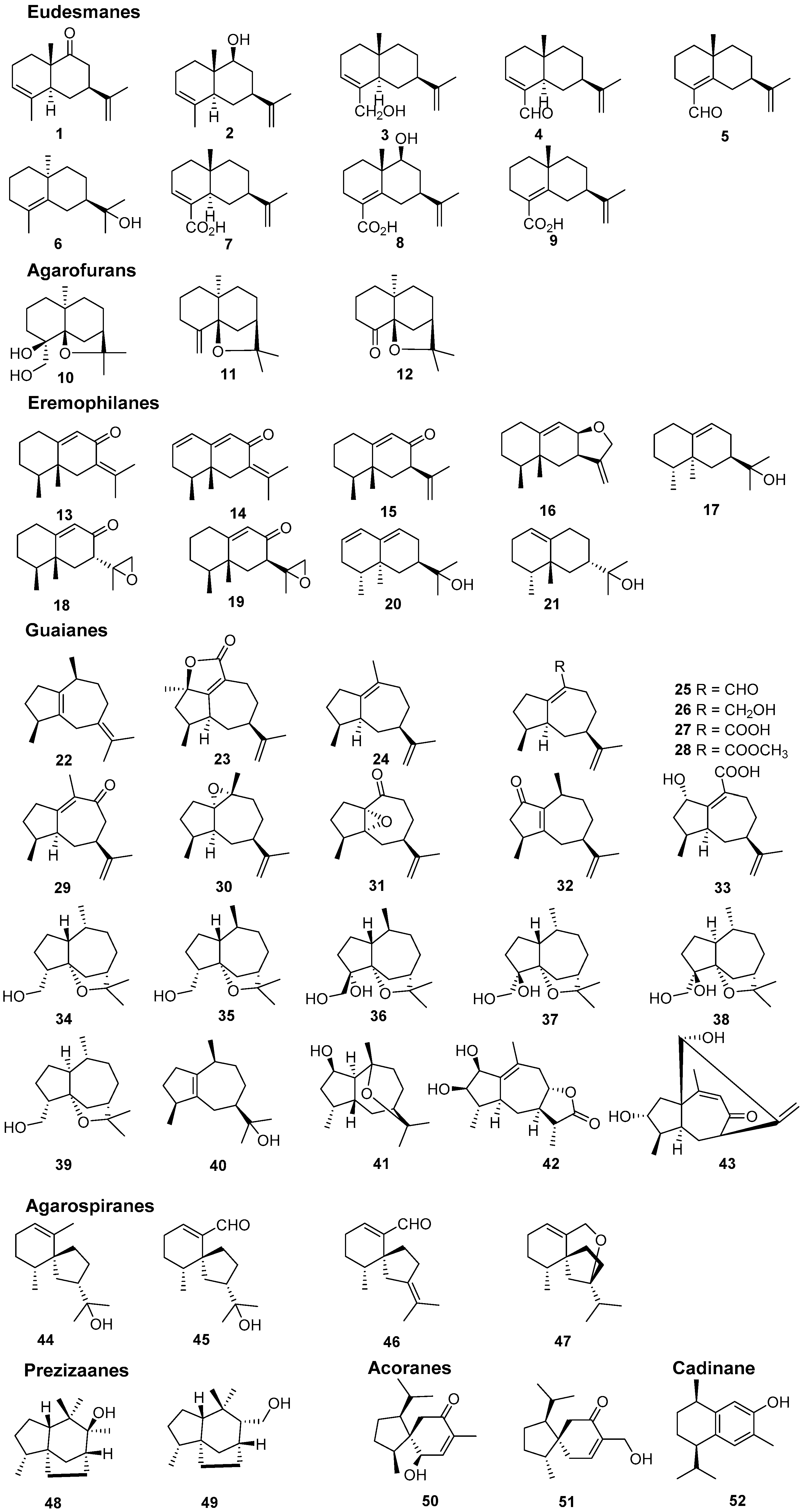 Molecules 26 00436 g001