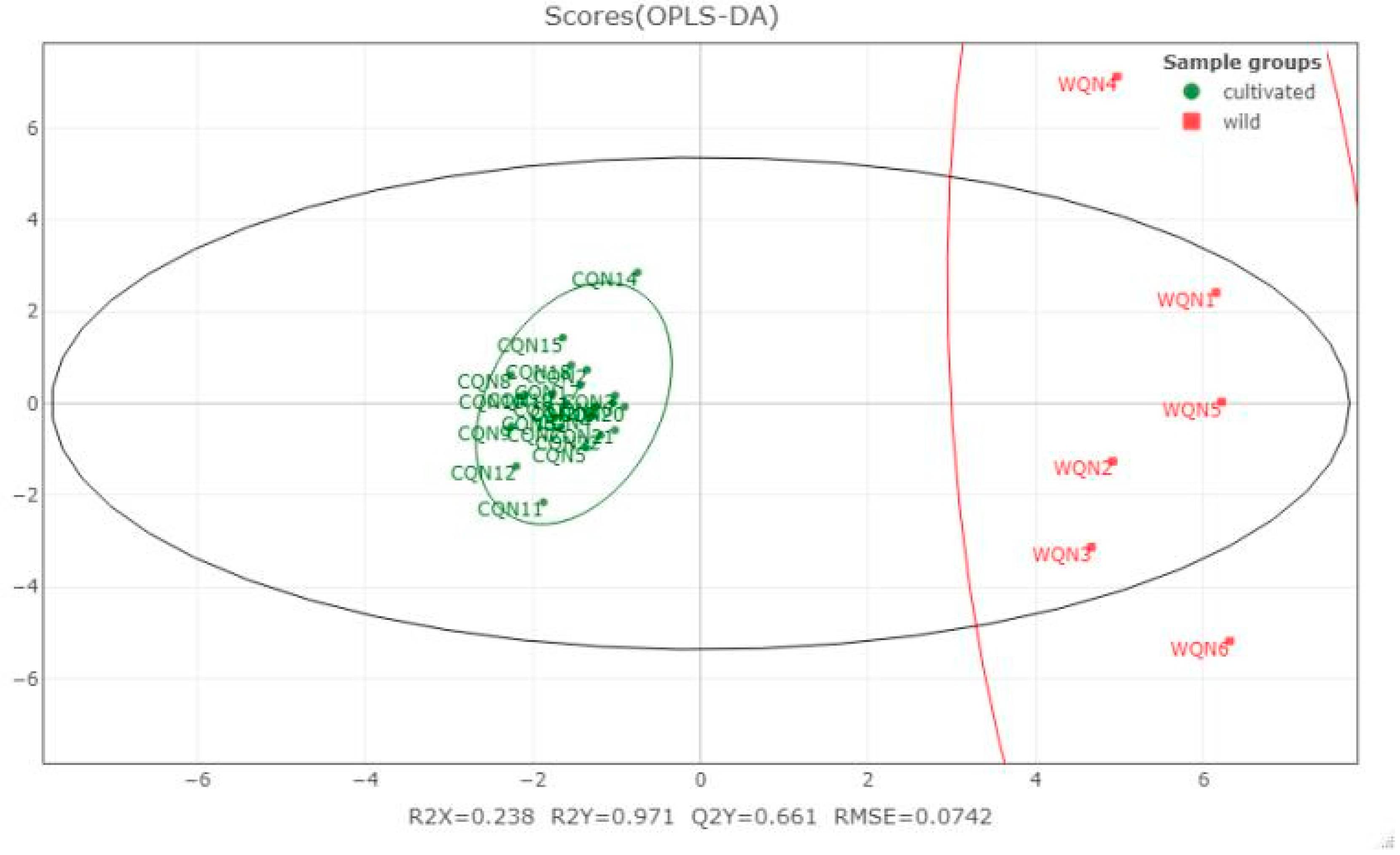 Molecules 26 00436 g004