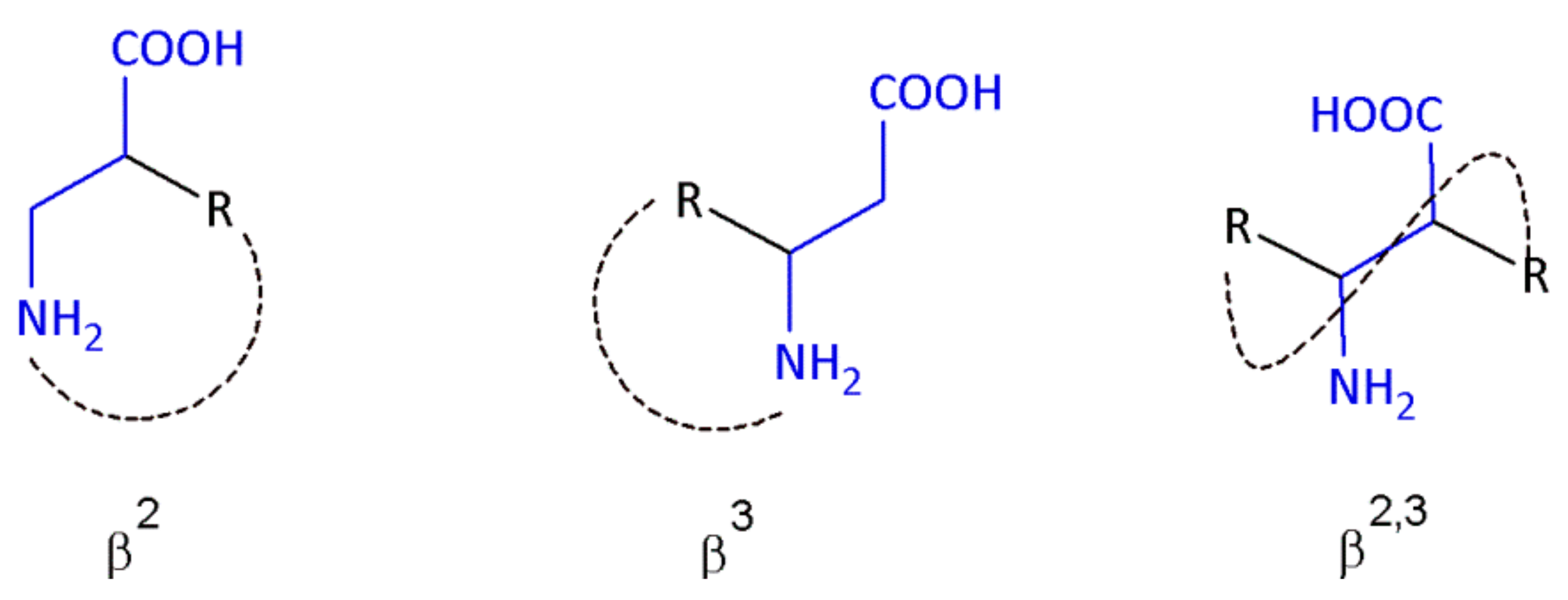 Molecules 26 00438 g001