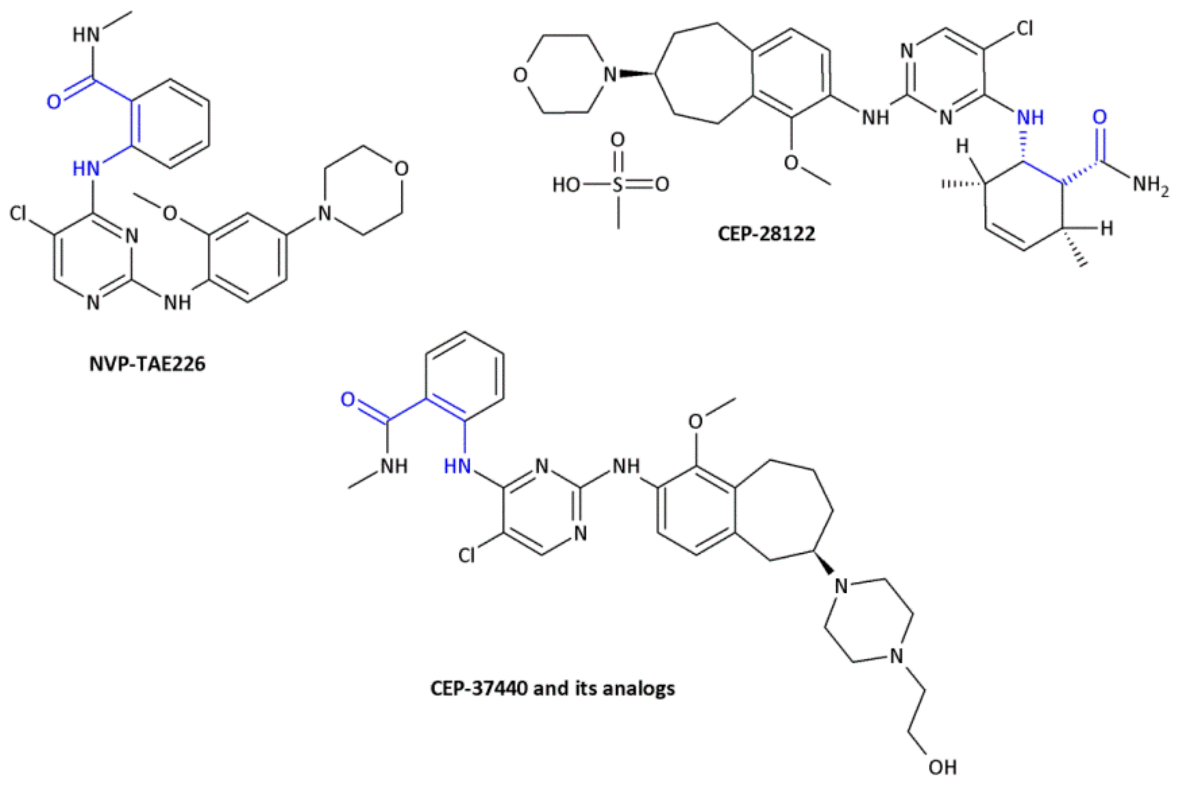 Molecules 26 00438 g004