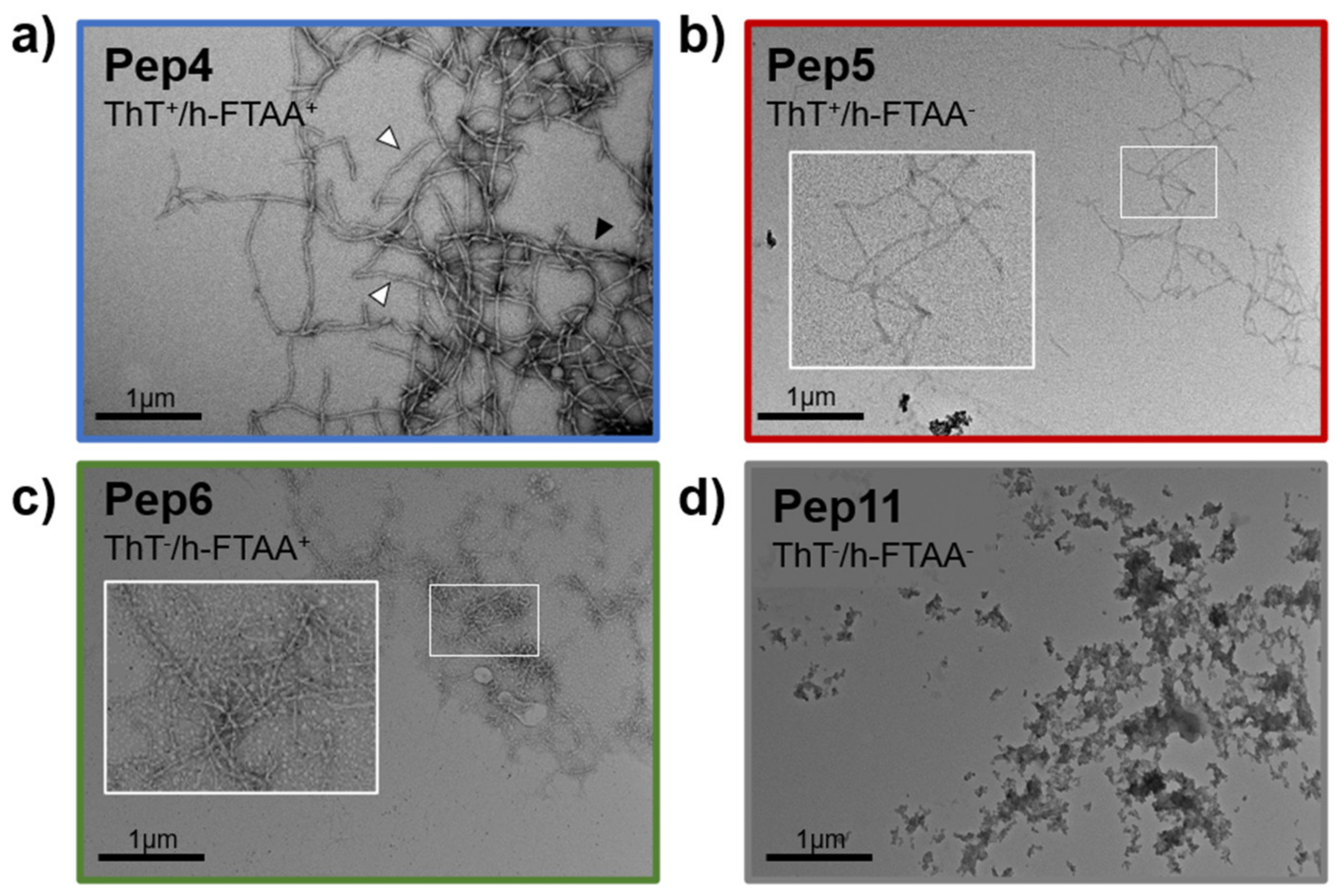Molecules 26 00440 g002
