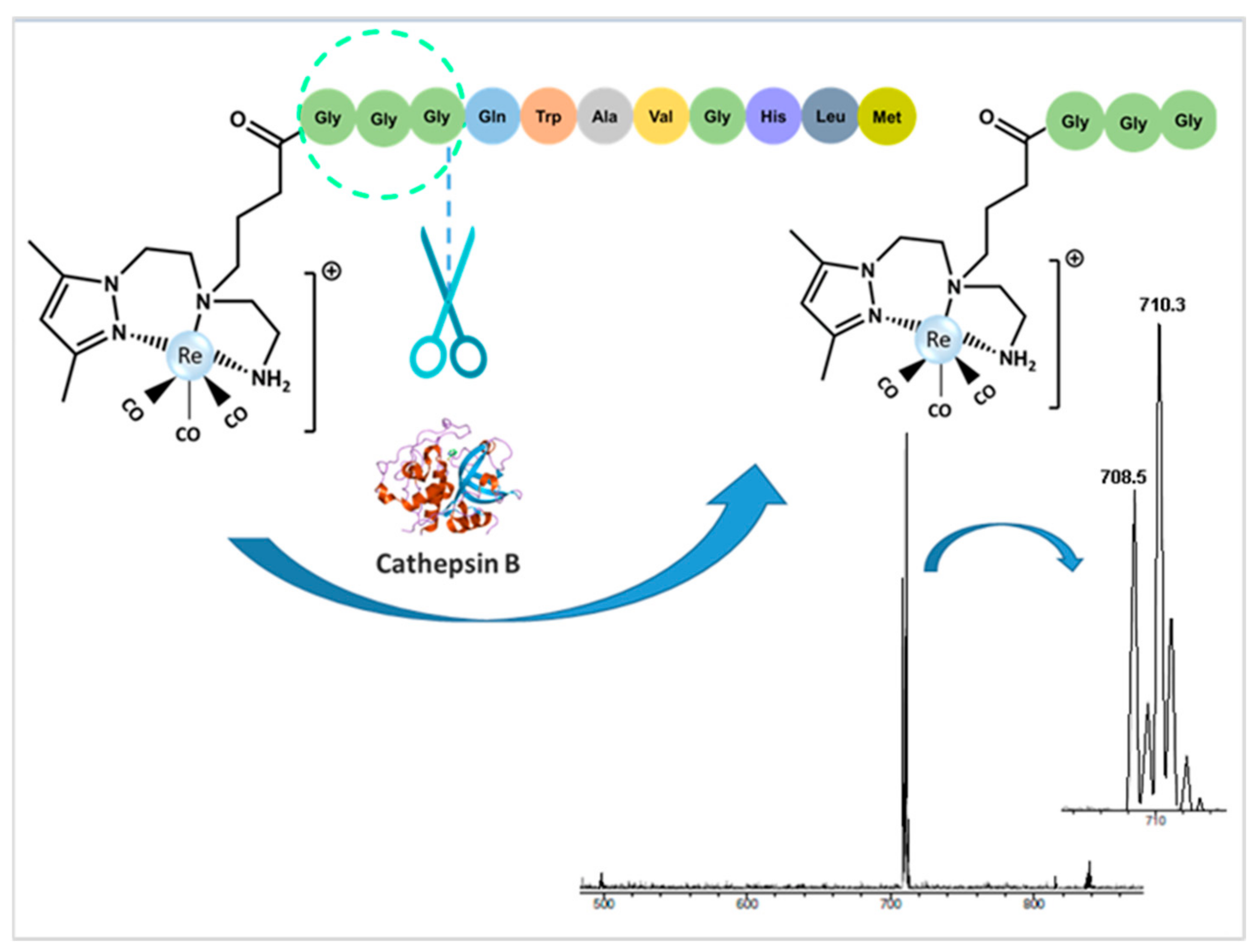Molecules 26 00441 g003