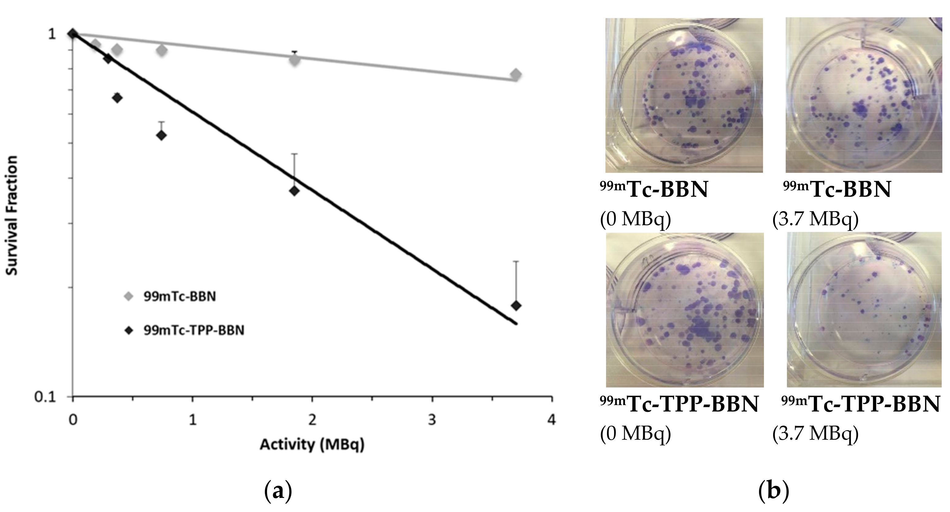 Molecules 26 00441 g007