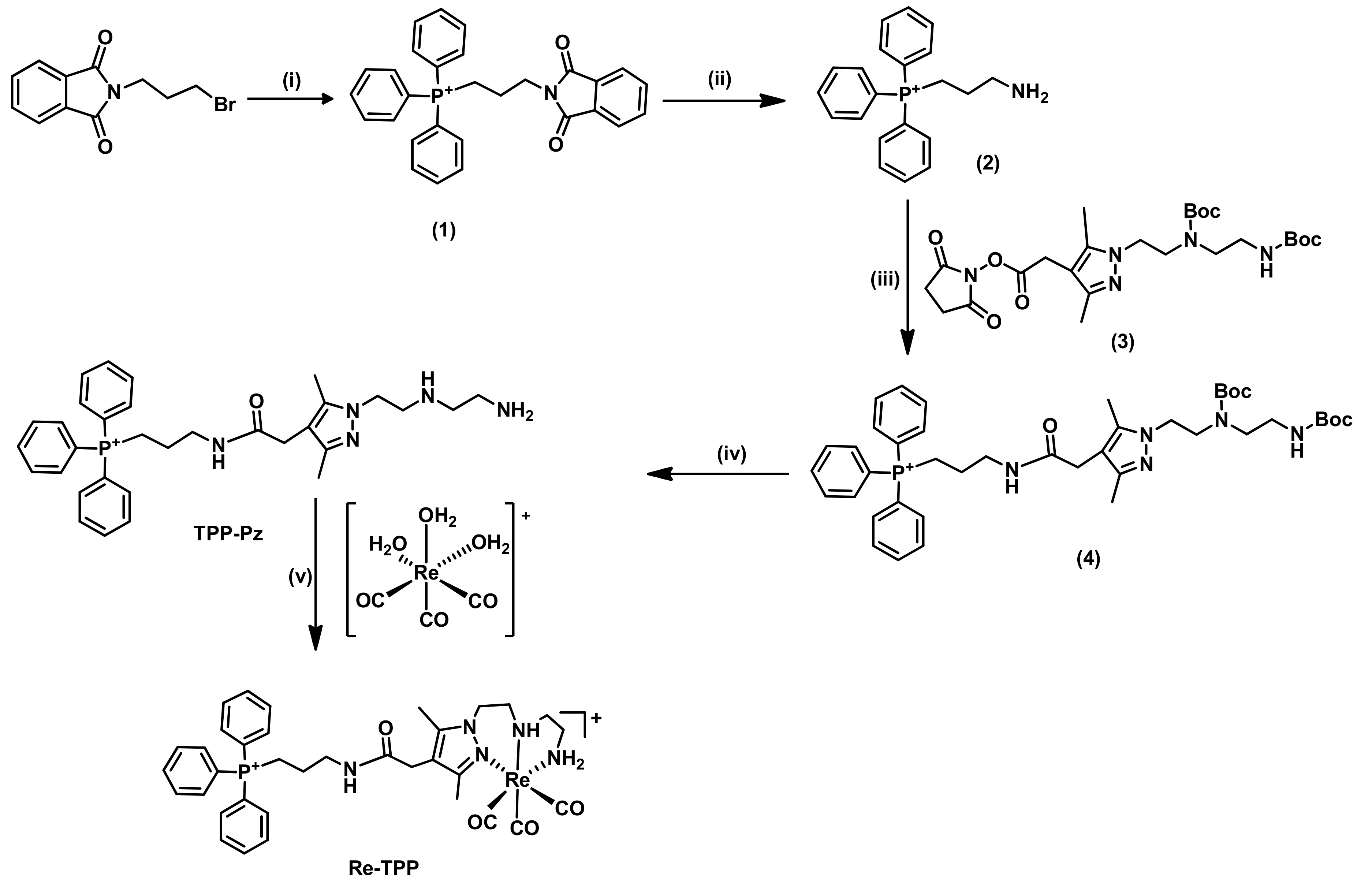 Molecules 26 00441 sch001