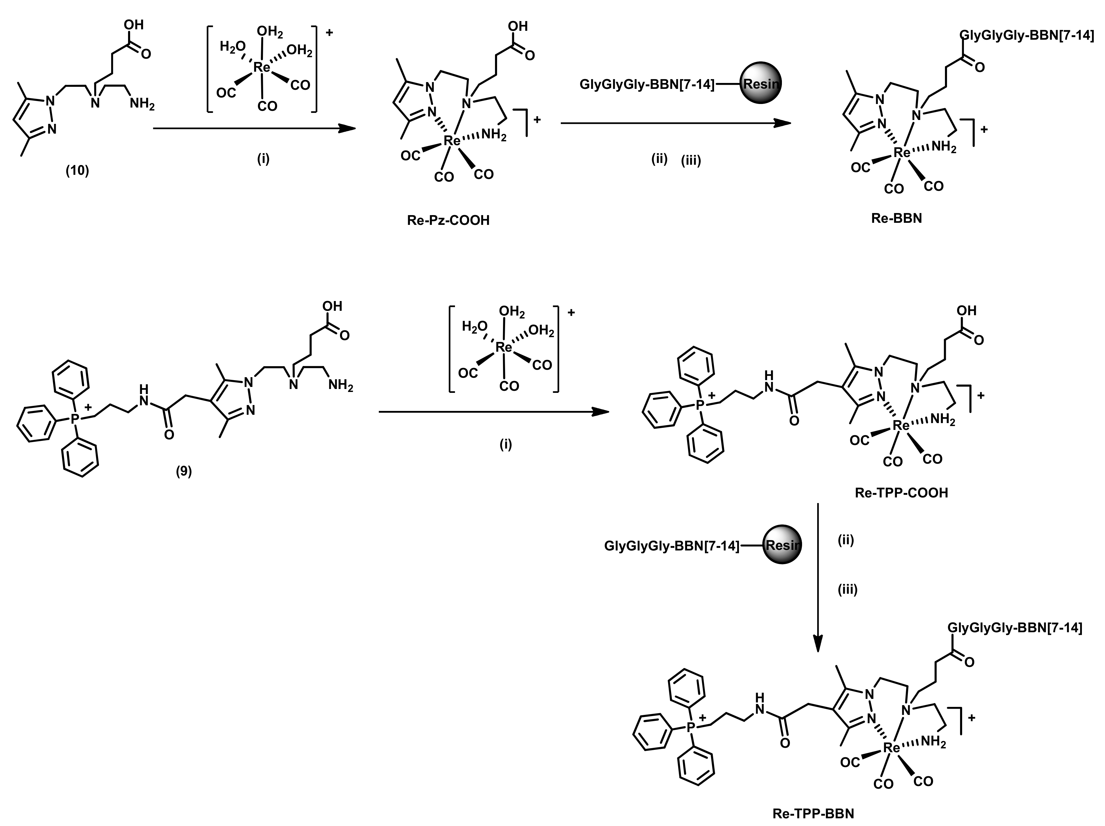 Molecules 26 00441 sch003