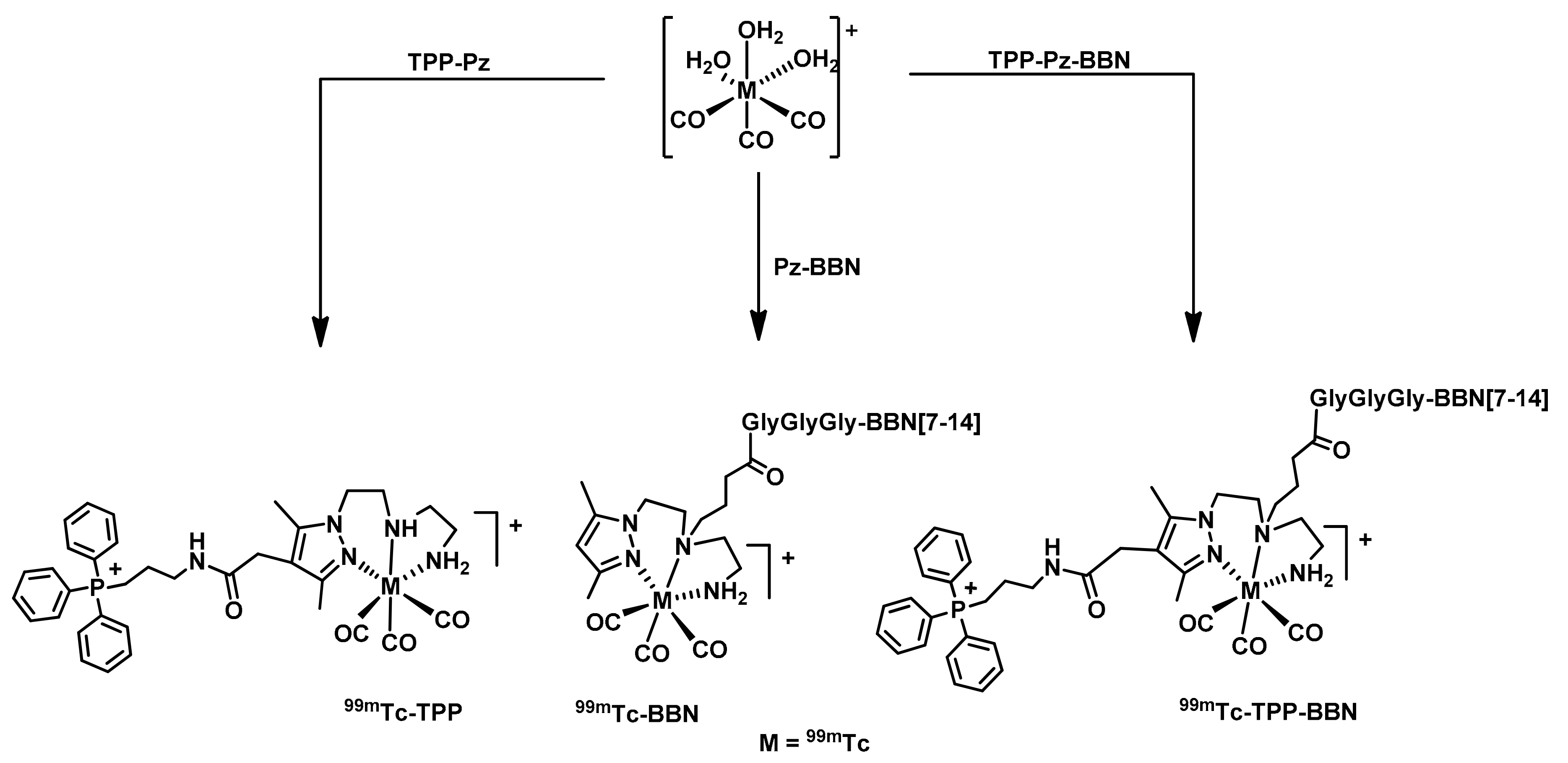 Molecules 26 00441 sch004