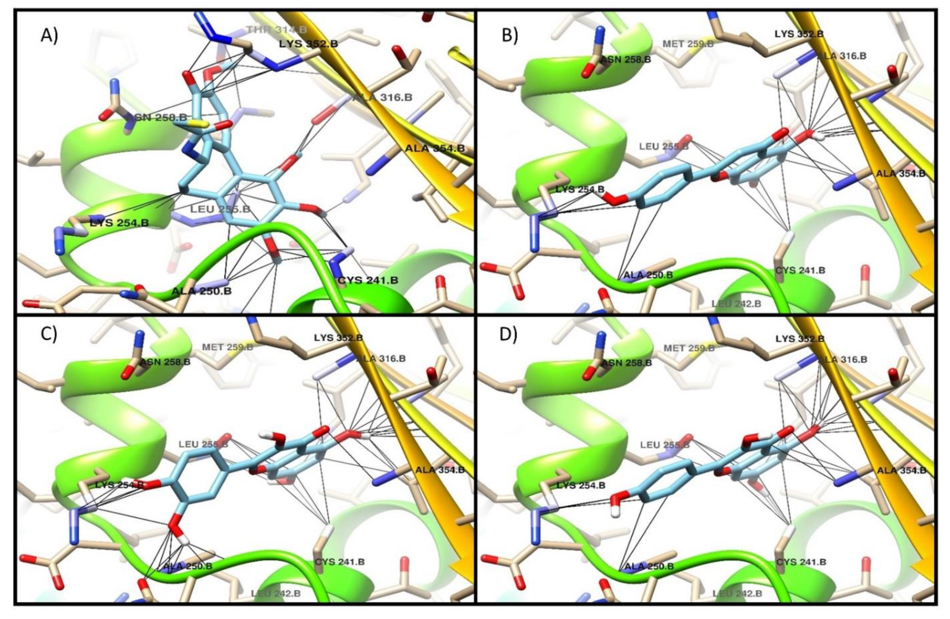 Molecules 26 00443 g004