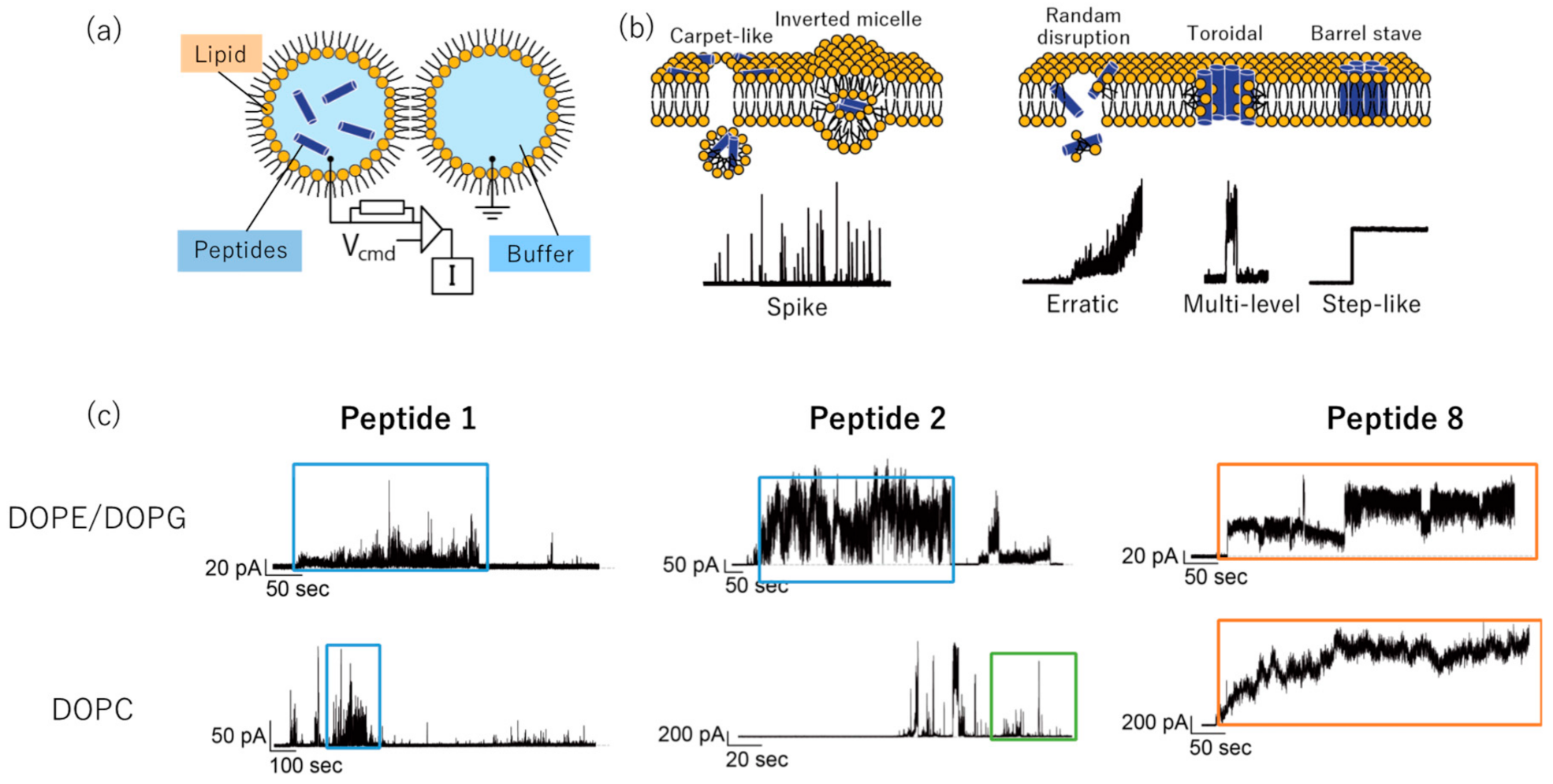 Molecules 26 00444 g003