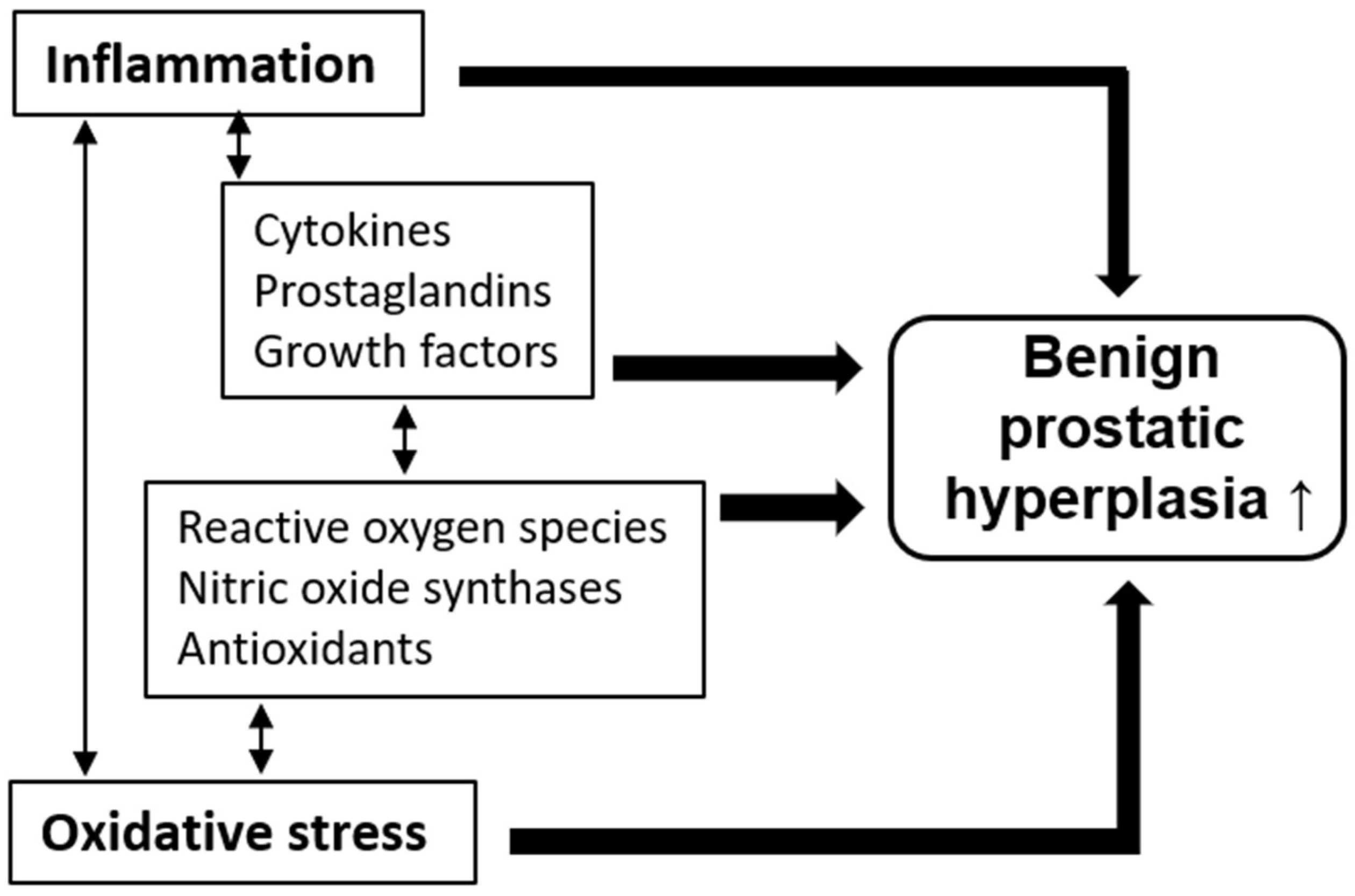Molecules 26 00450 g001