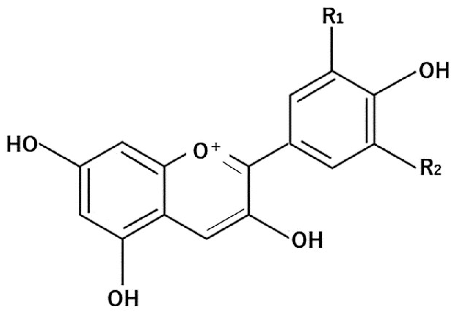 Molecules 26 00450 g004