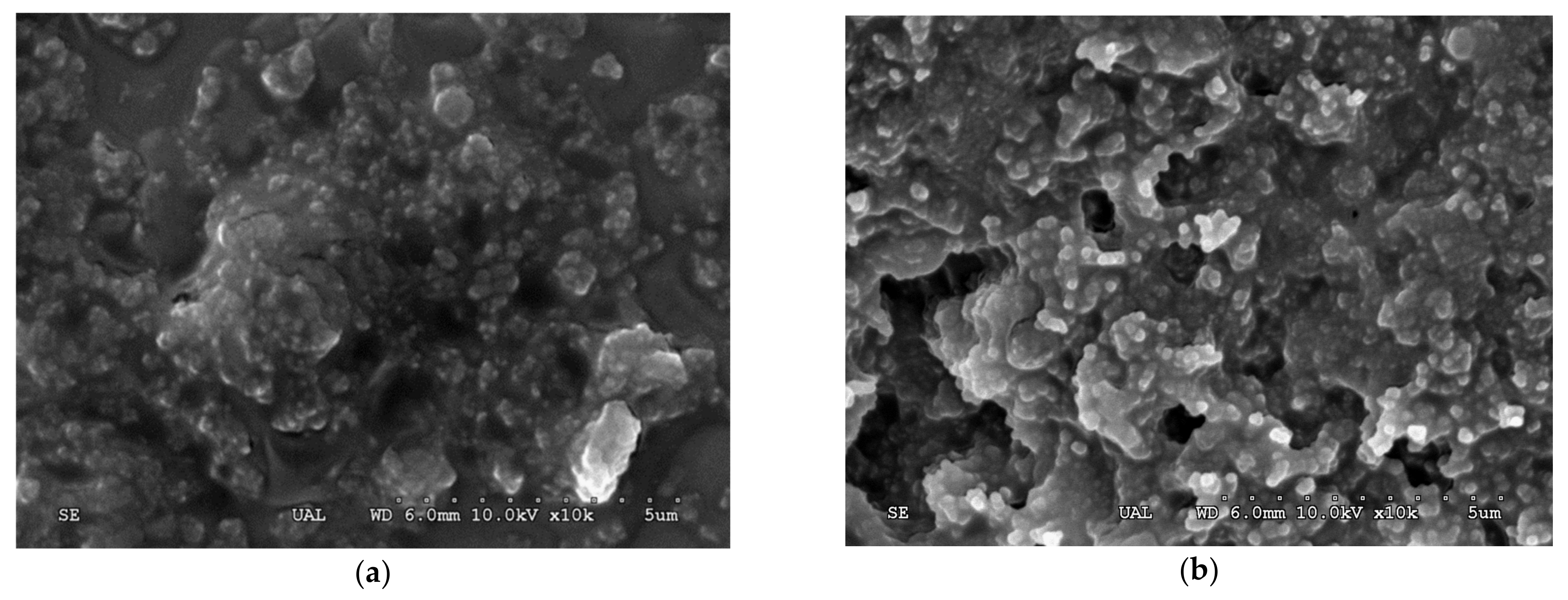 Molecules 26 00451 g002 Molecules 26 00451 g002