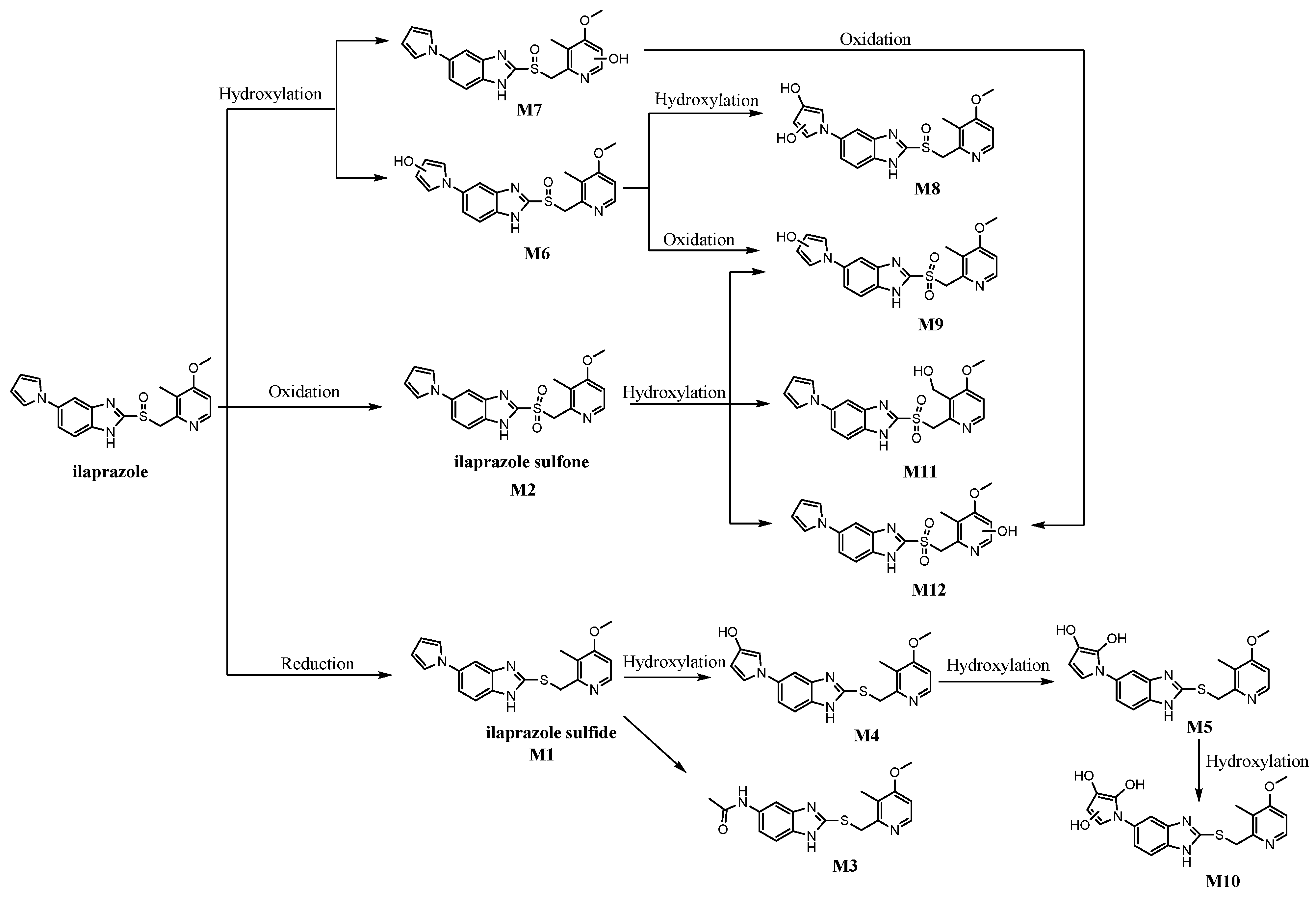 Molecules 26 00459 g001