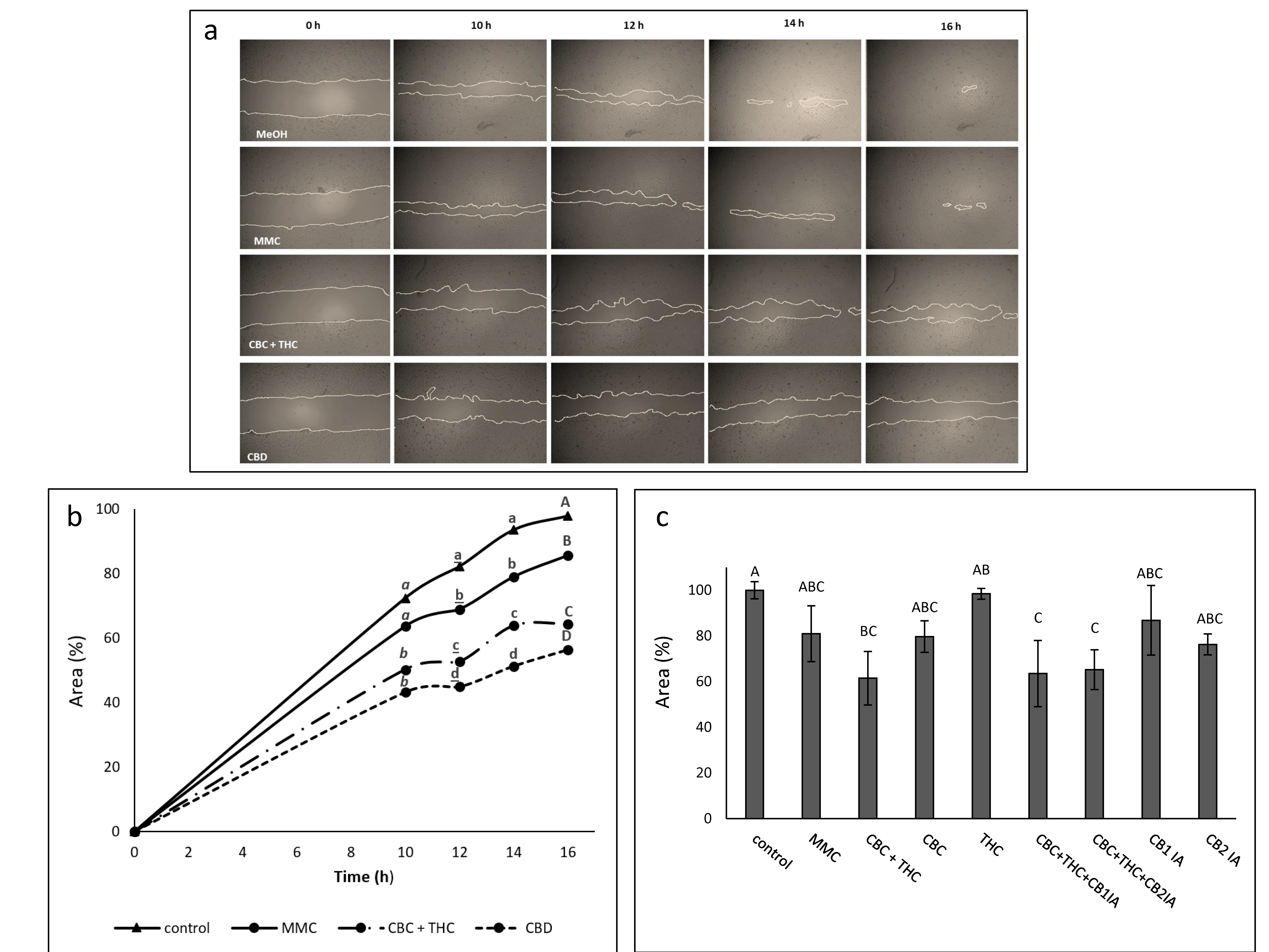 Molecules 26 00465 g005