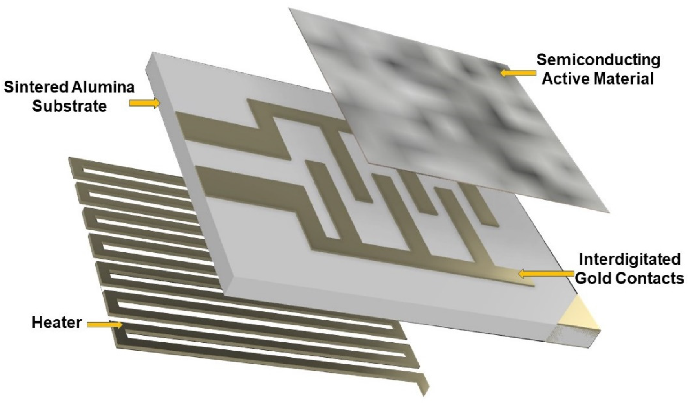 Molecules 26 00466 g006