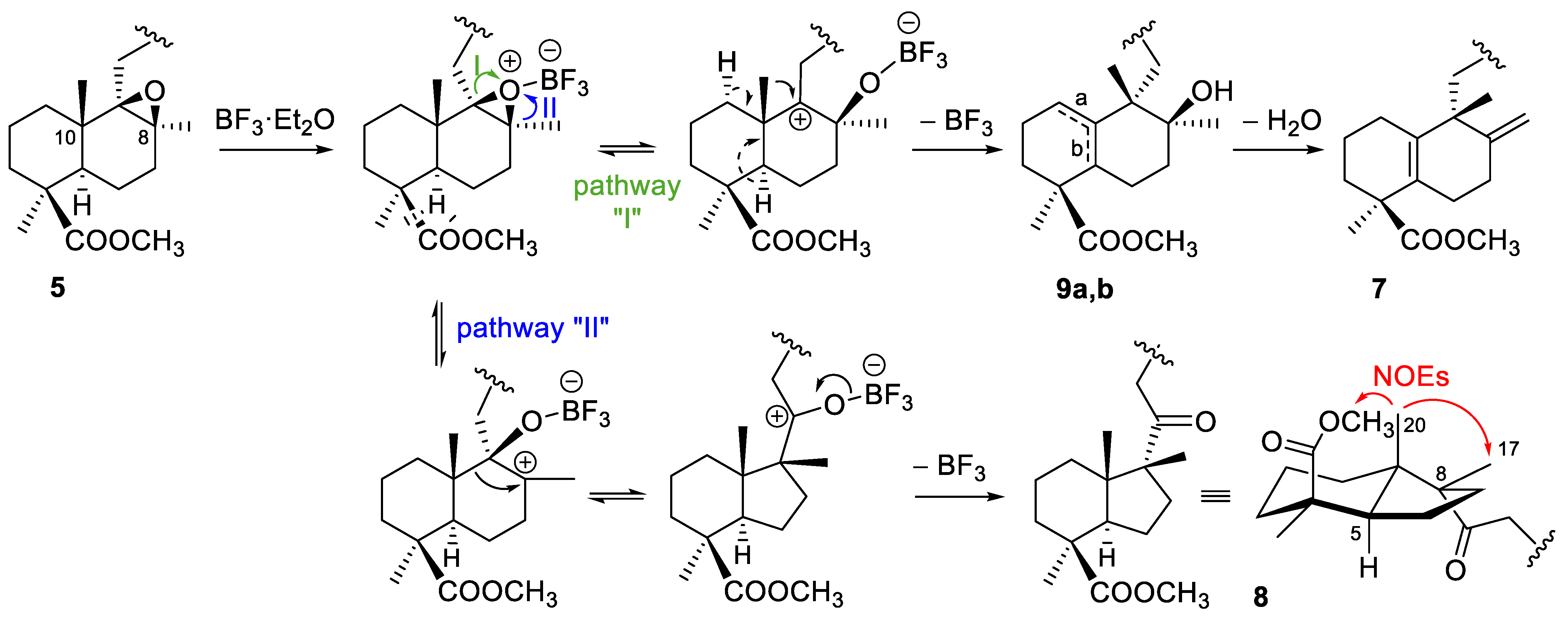 Molecules 26 00474 sch003