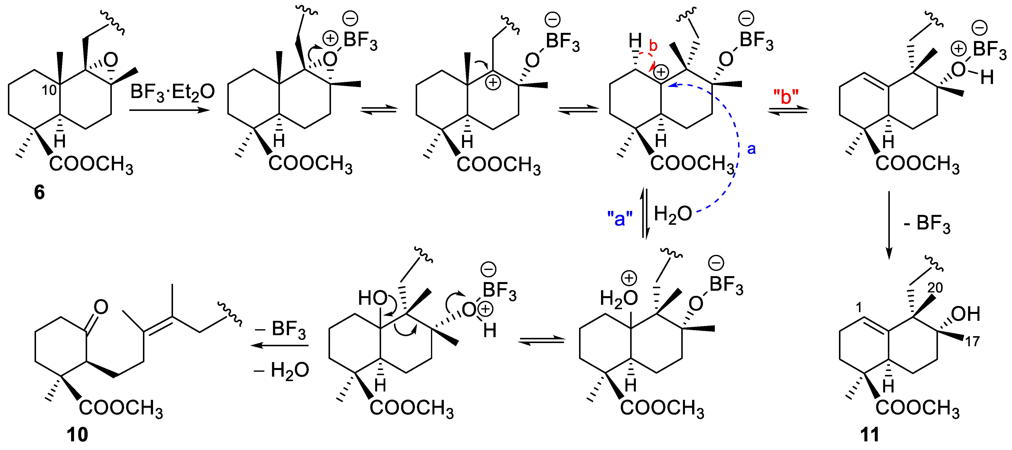 Molecules 26 00474 sch004