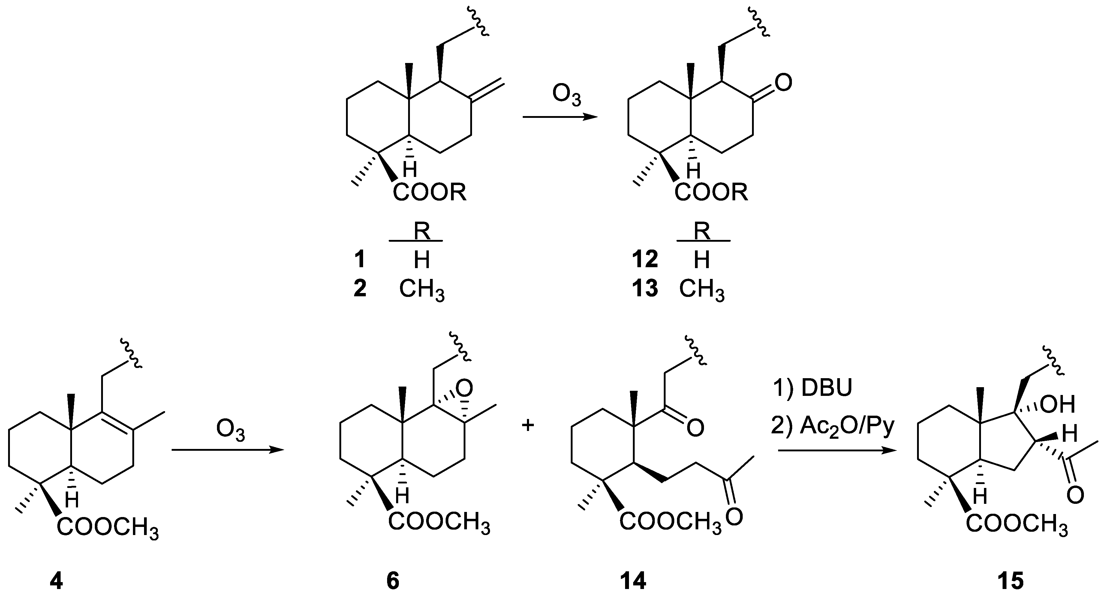 Molecules 26 00474 sch005