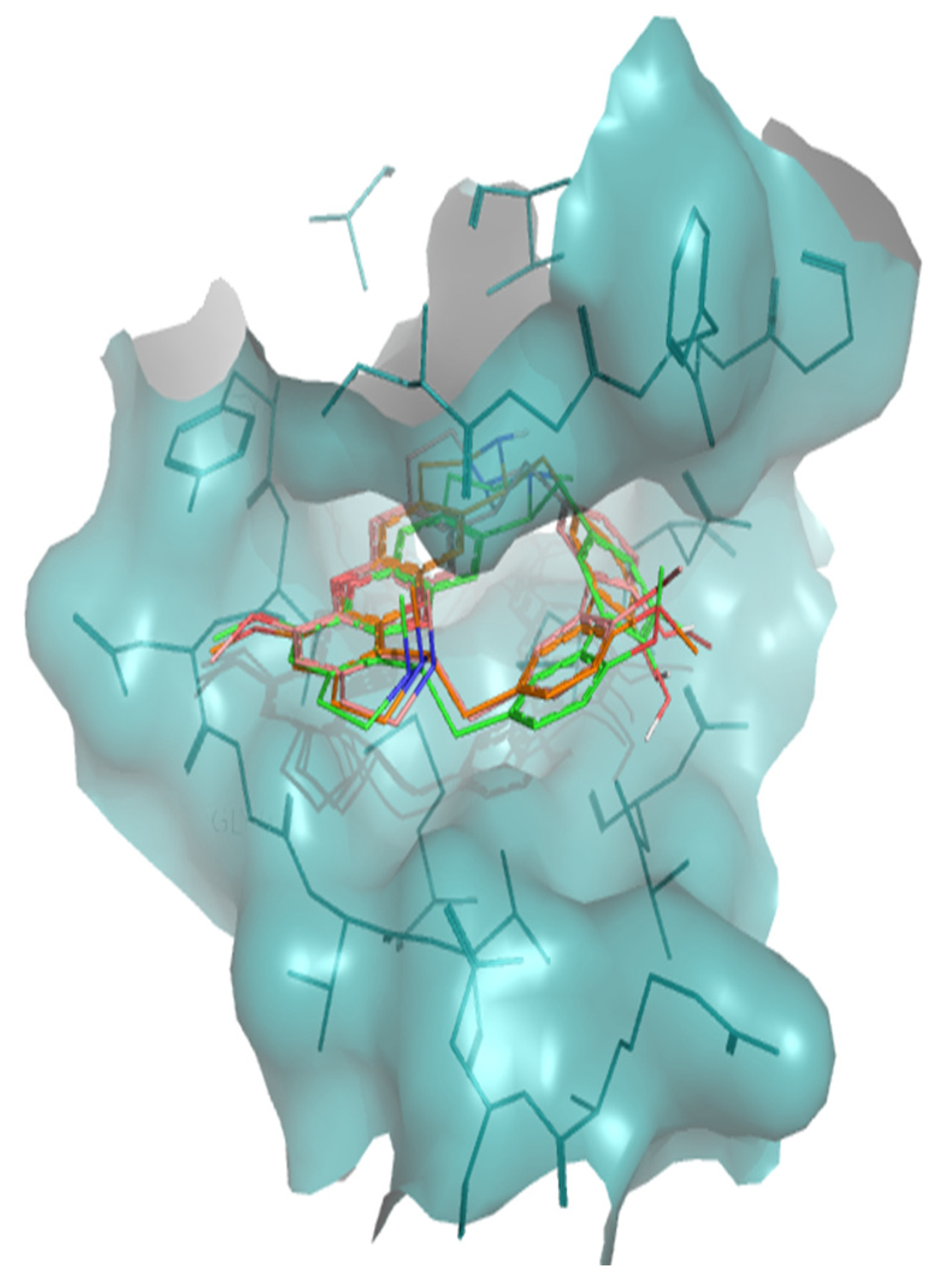 Molecules 26 00475 g004