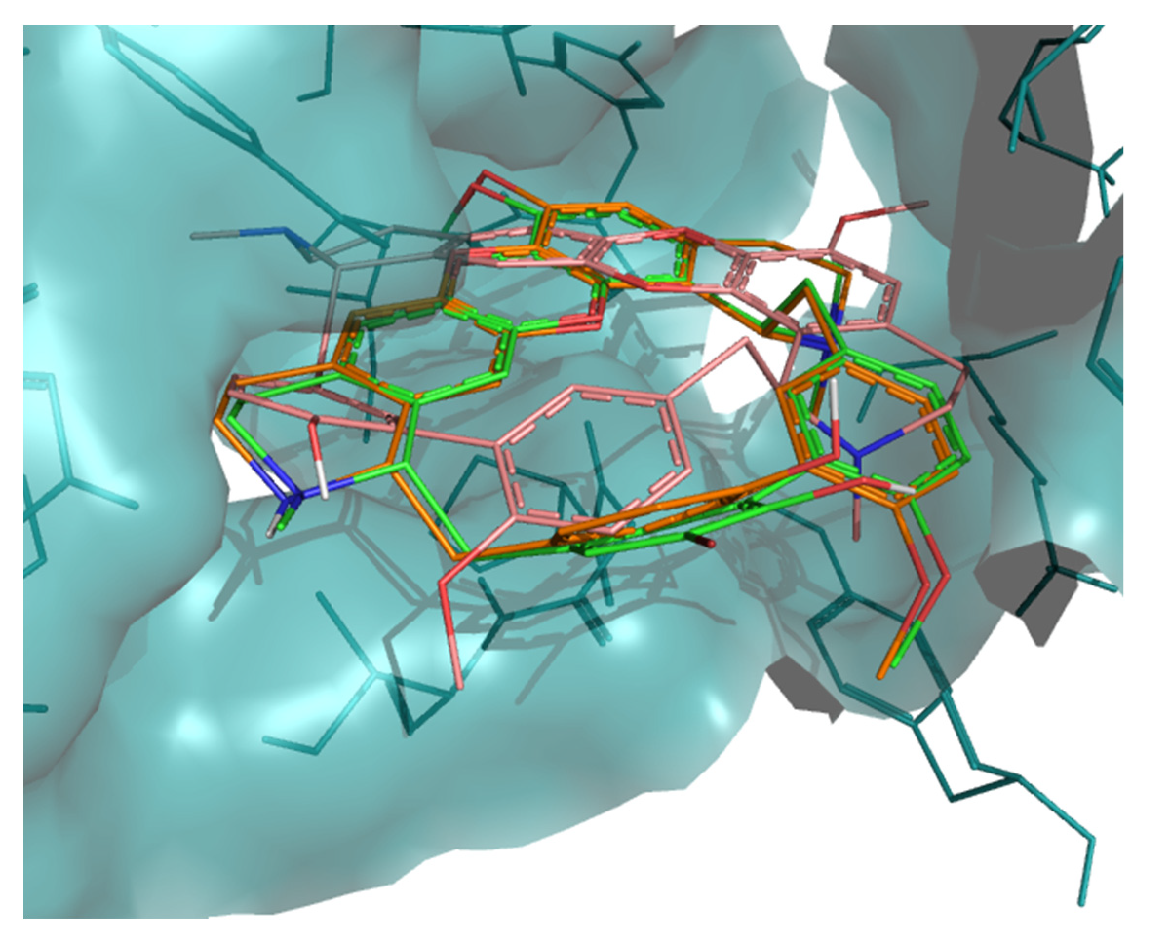 Molecules 26 00475 g005