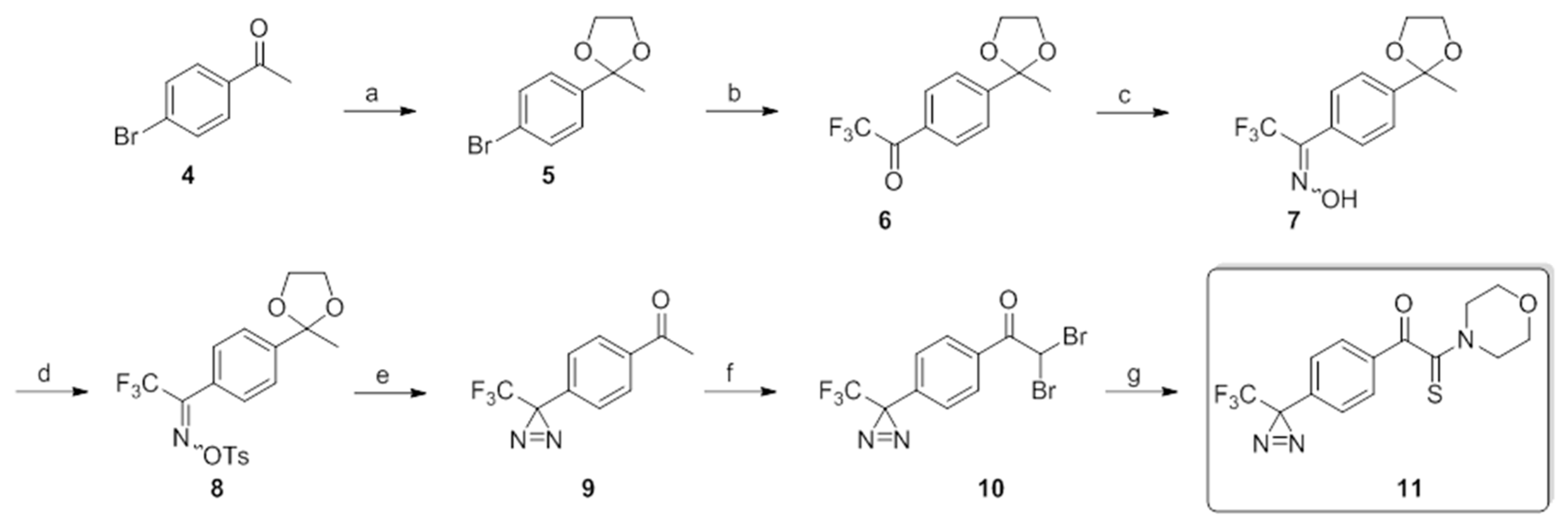 Molecules 26 00477 sch001