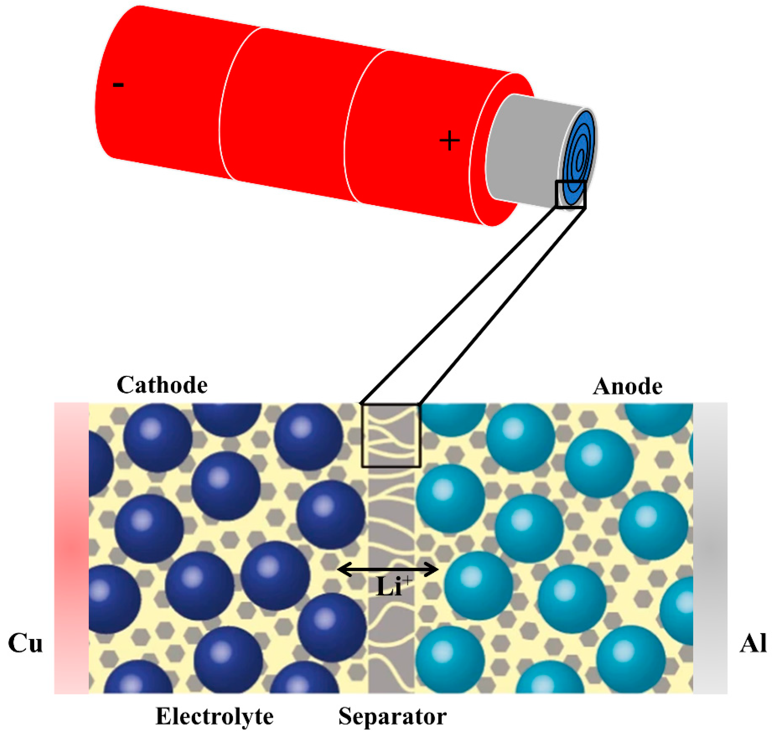 Molecules 26 00478 g001