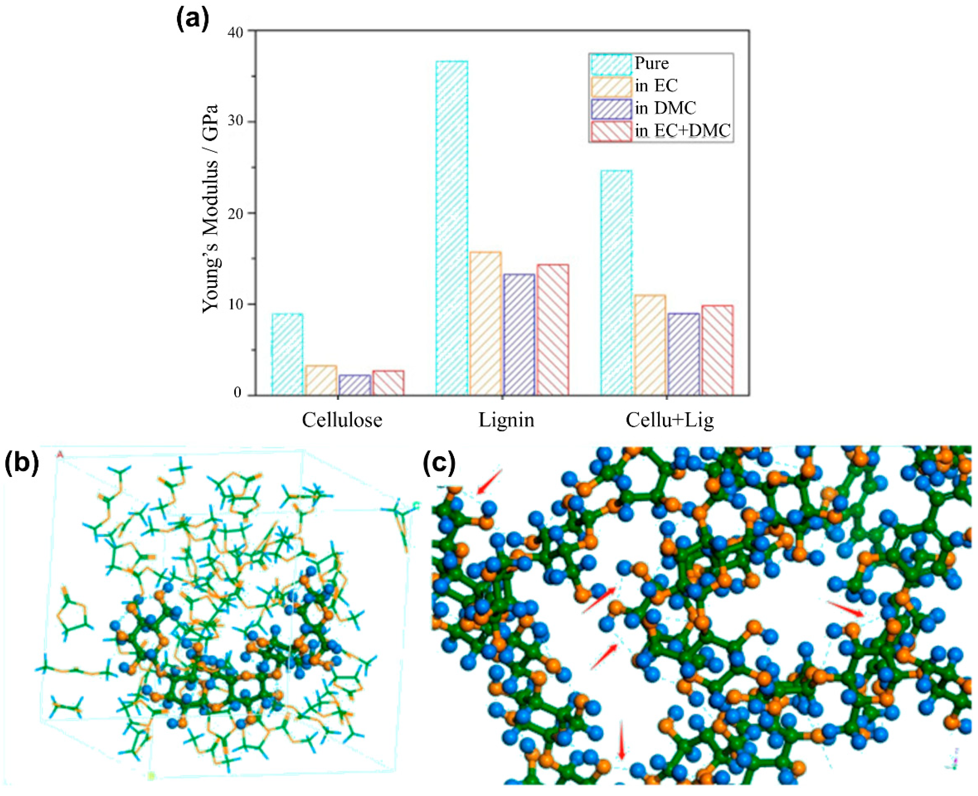 Molecules 26 00478 g006