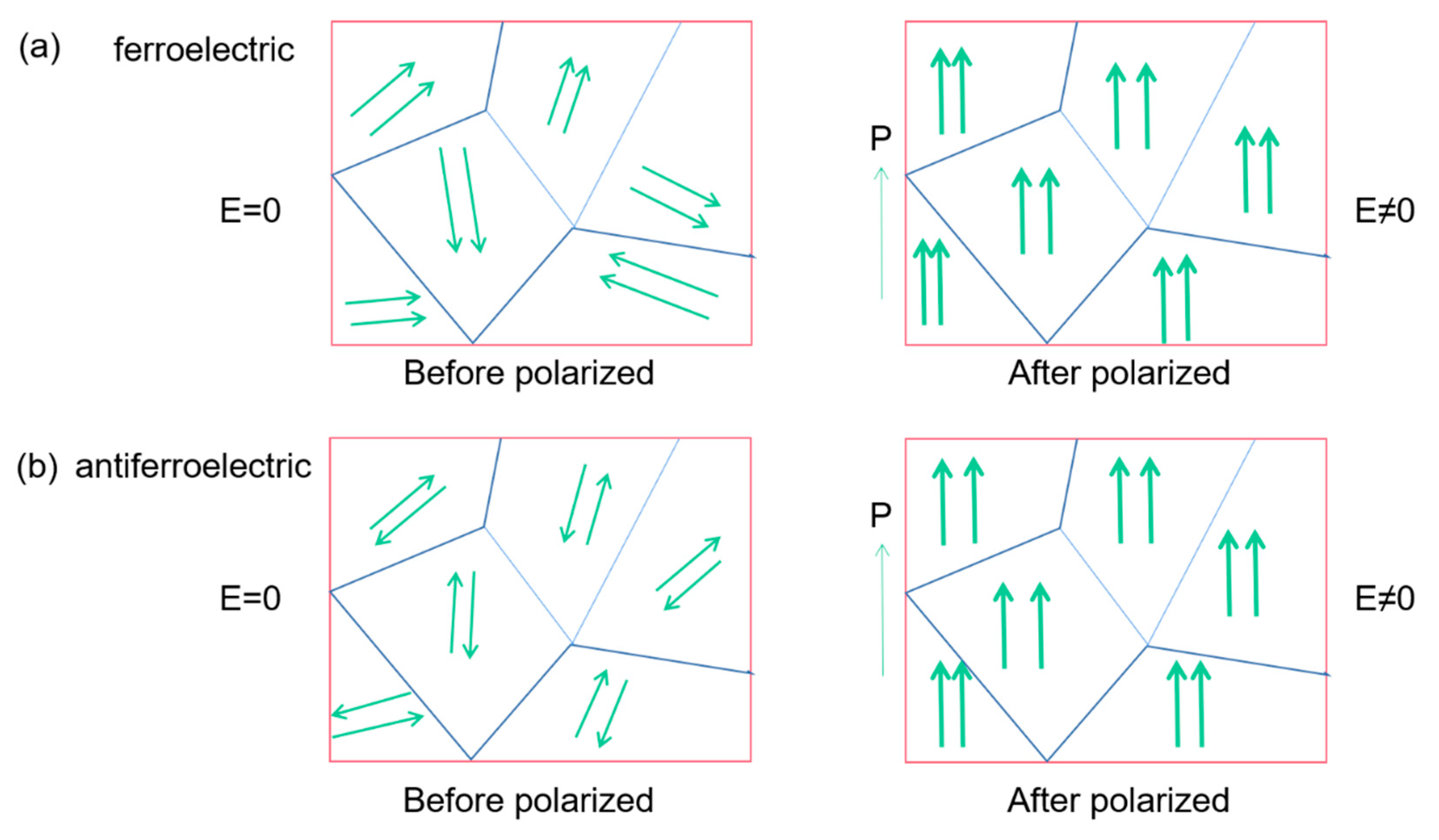 Molecules 26 00481 g008
