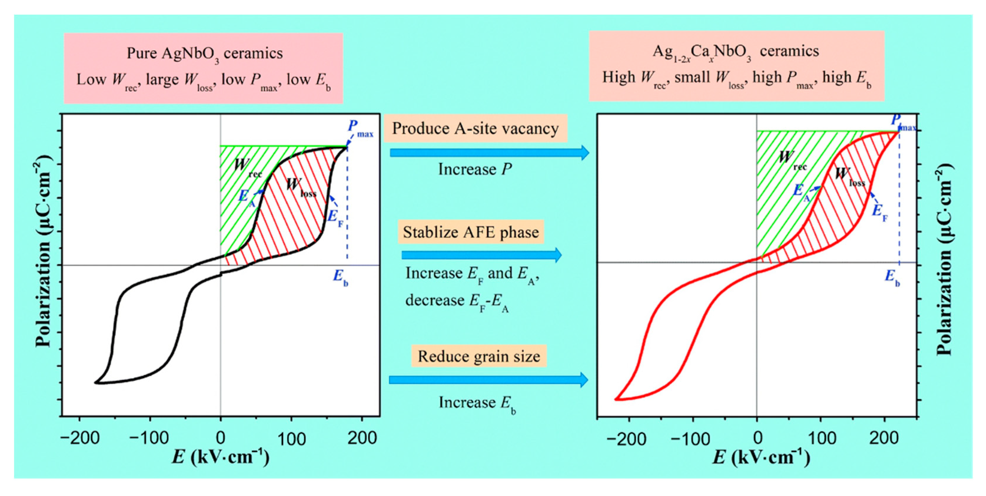 Molecules 26 00481 g013