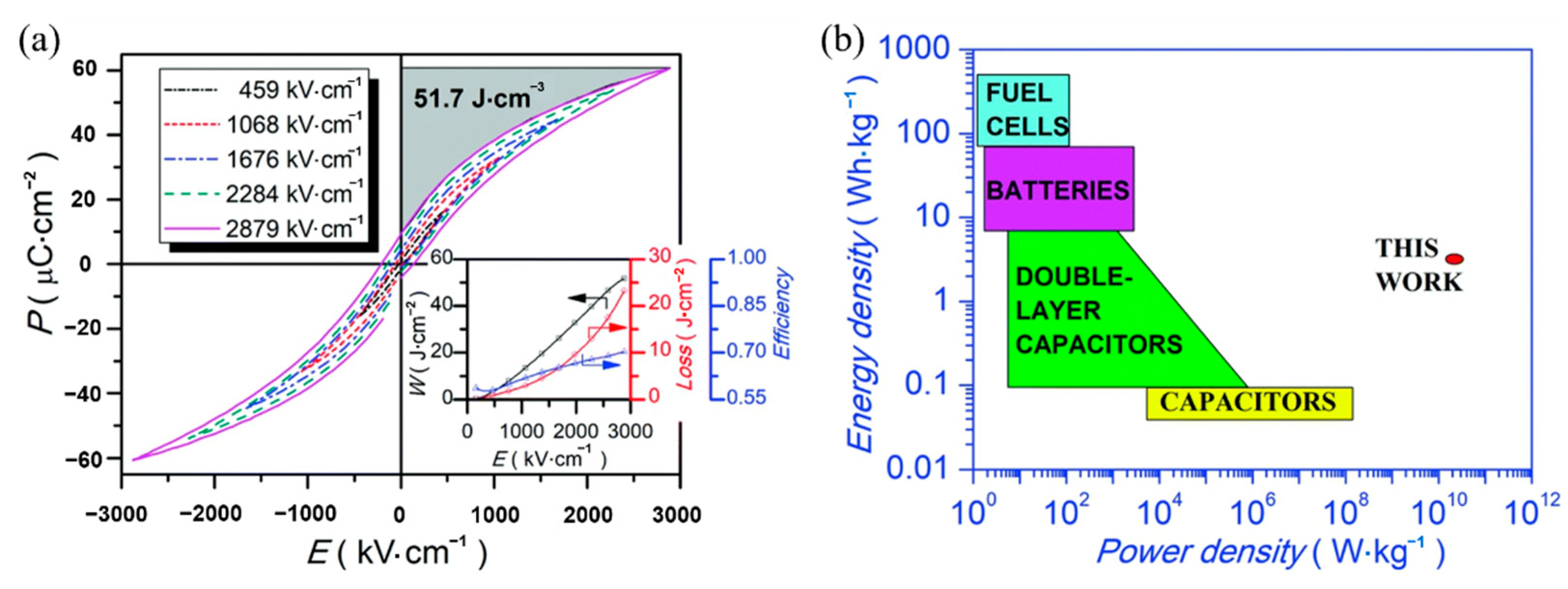 Molecules 26 00481 g021