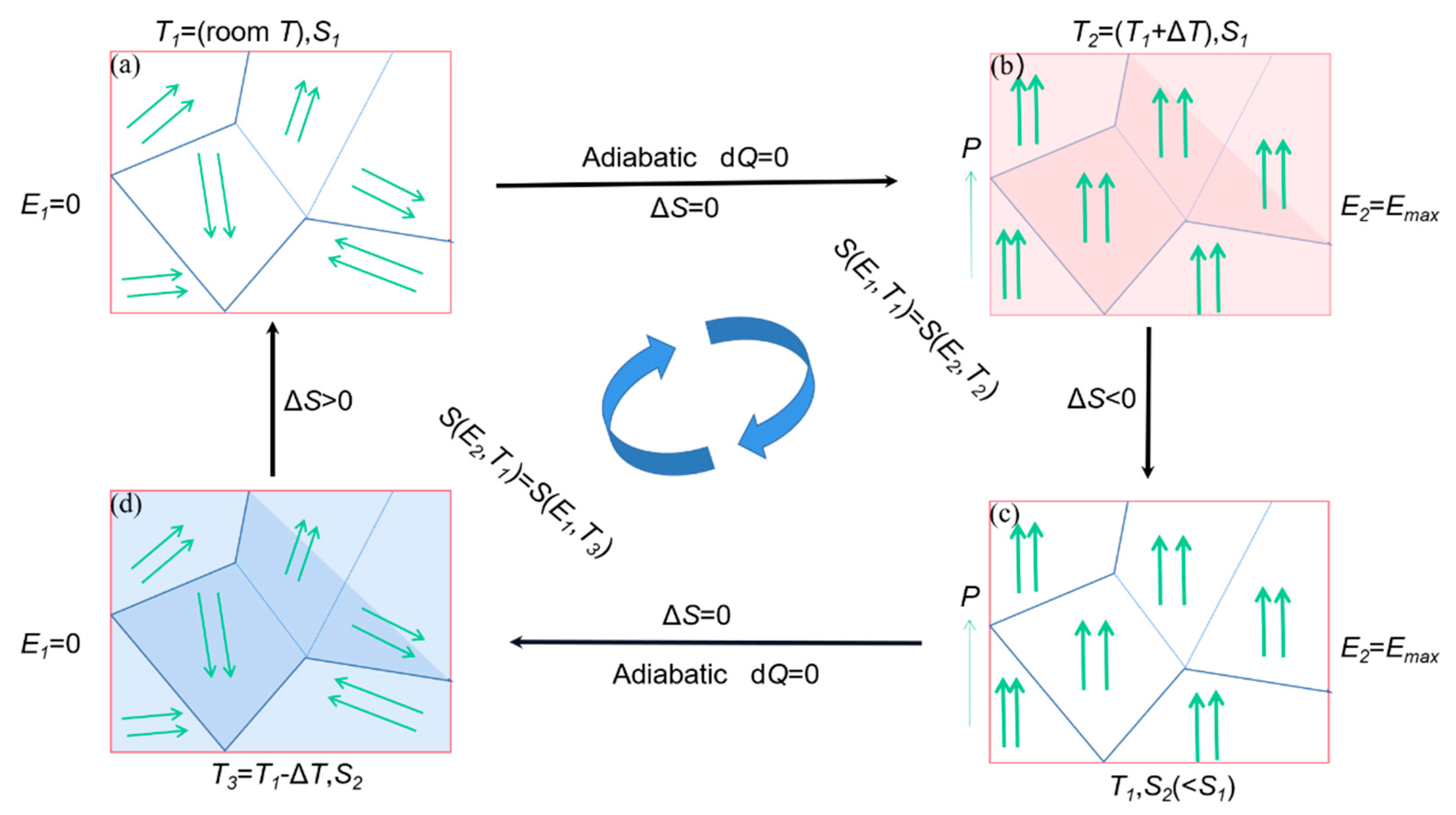 Molecules 26 00481 g024