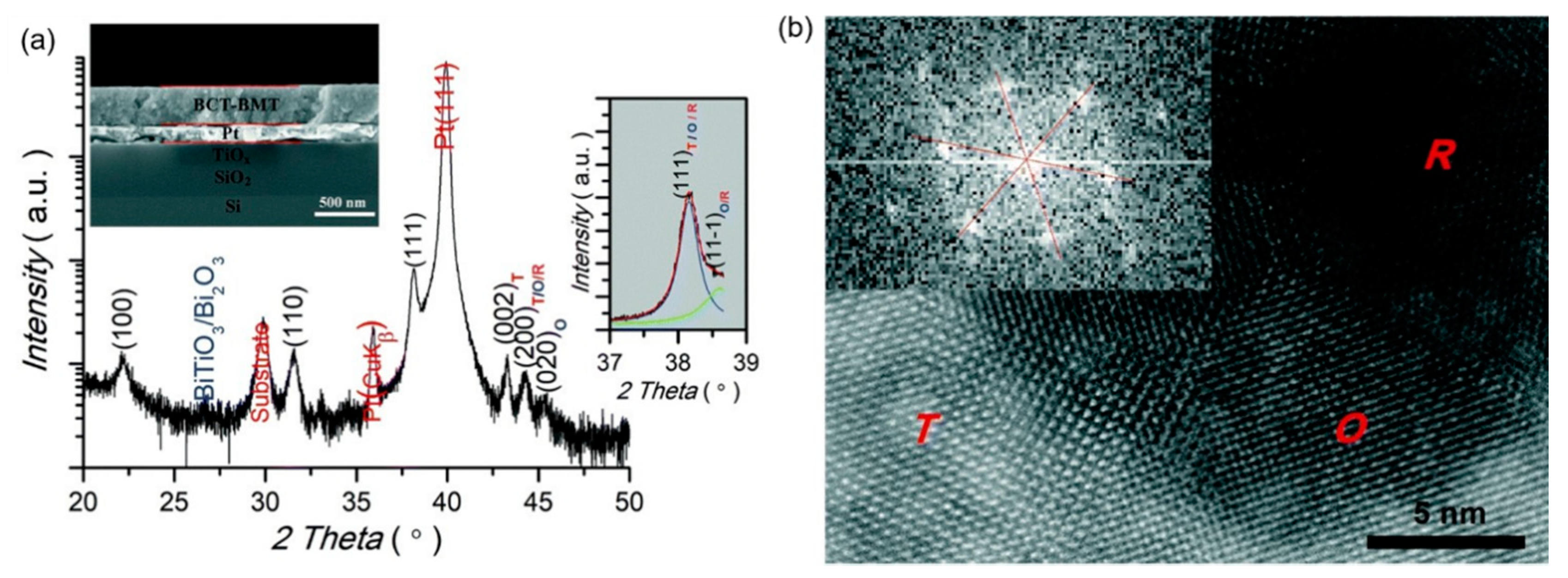 Molecules 26 00481 g026