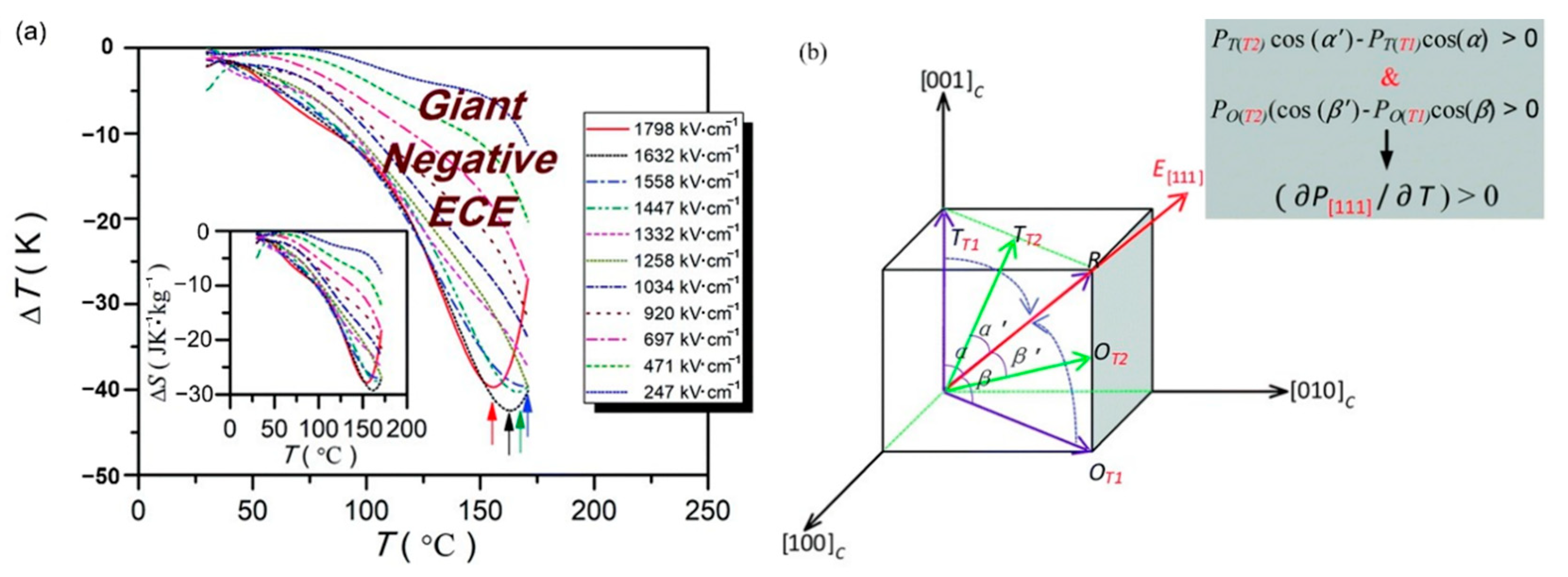 Molecules 26 00481 g027
