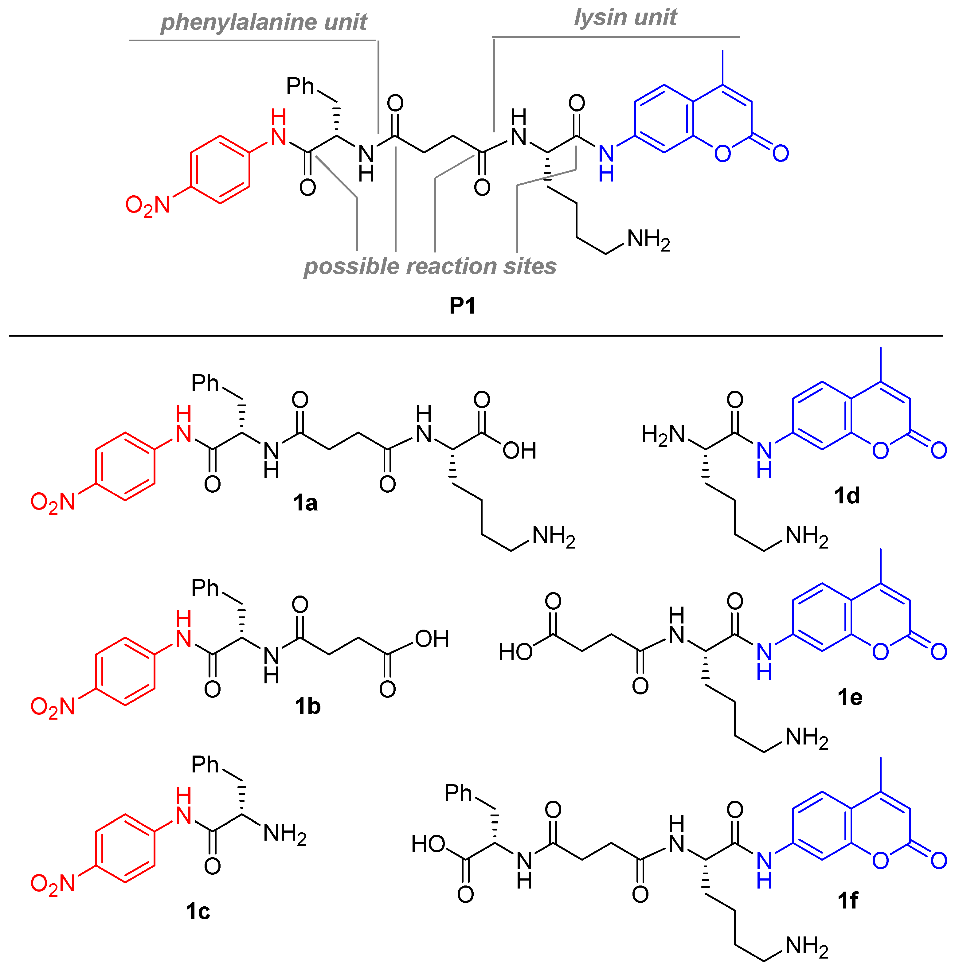 Molecules 26 00482 g001
