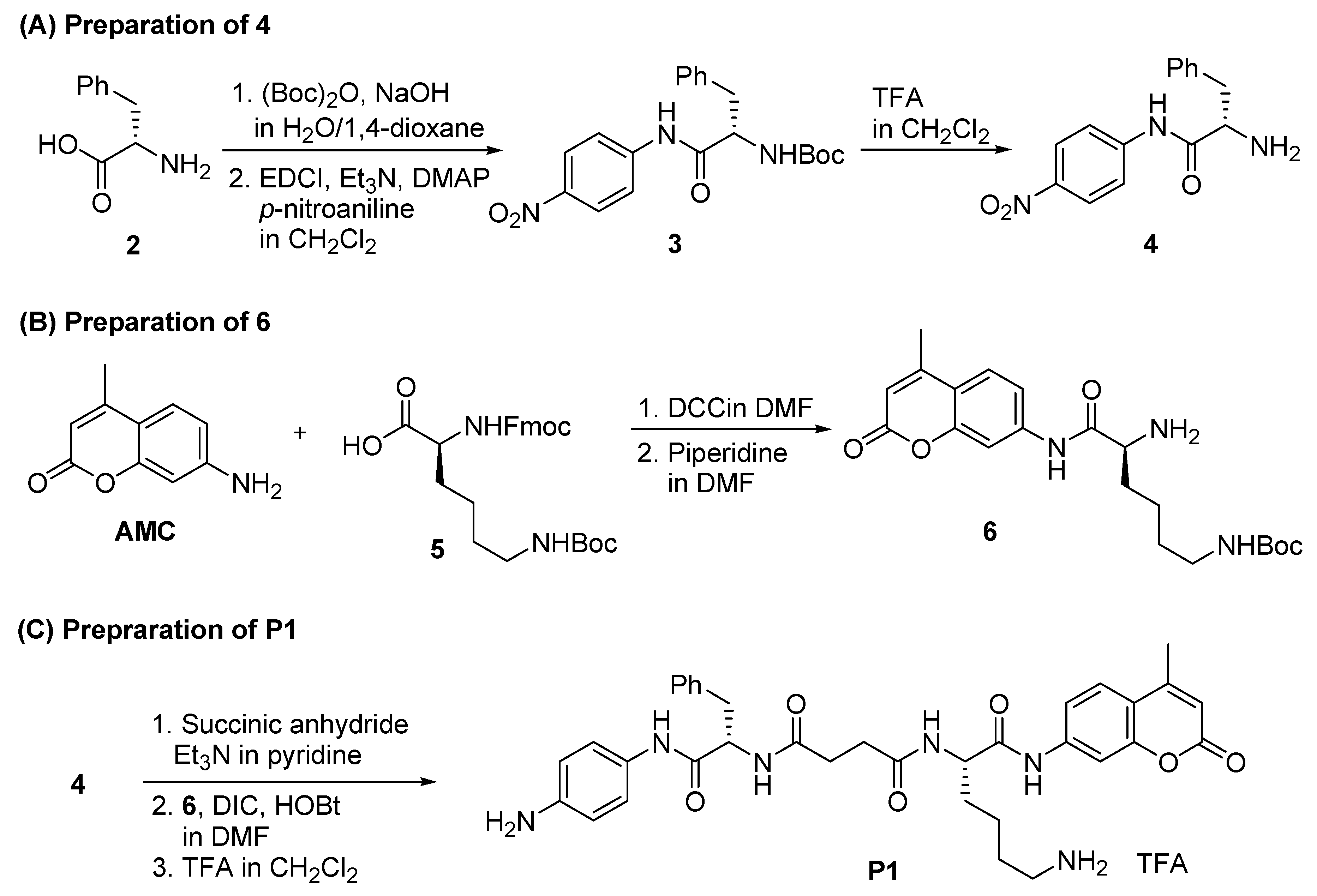 Molecules 26 00482 sch001