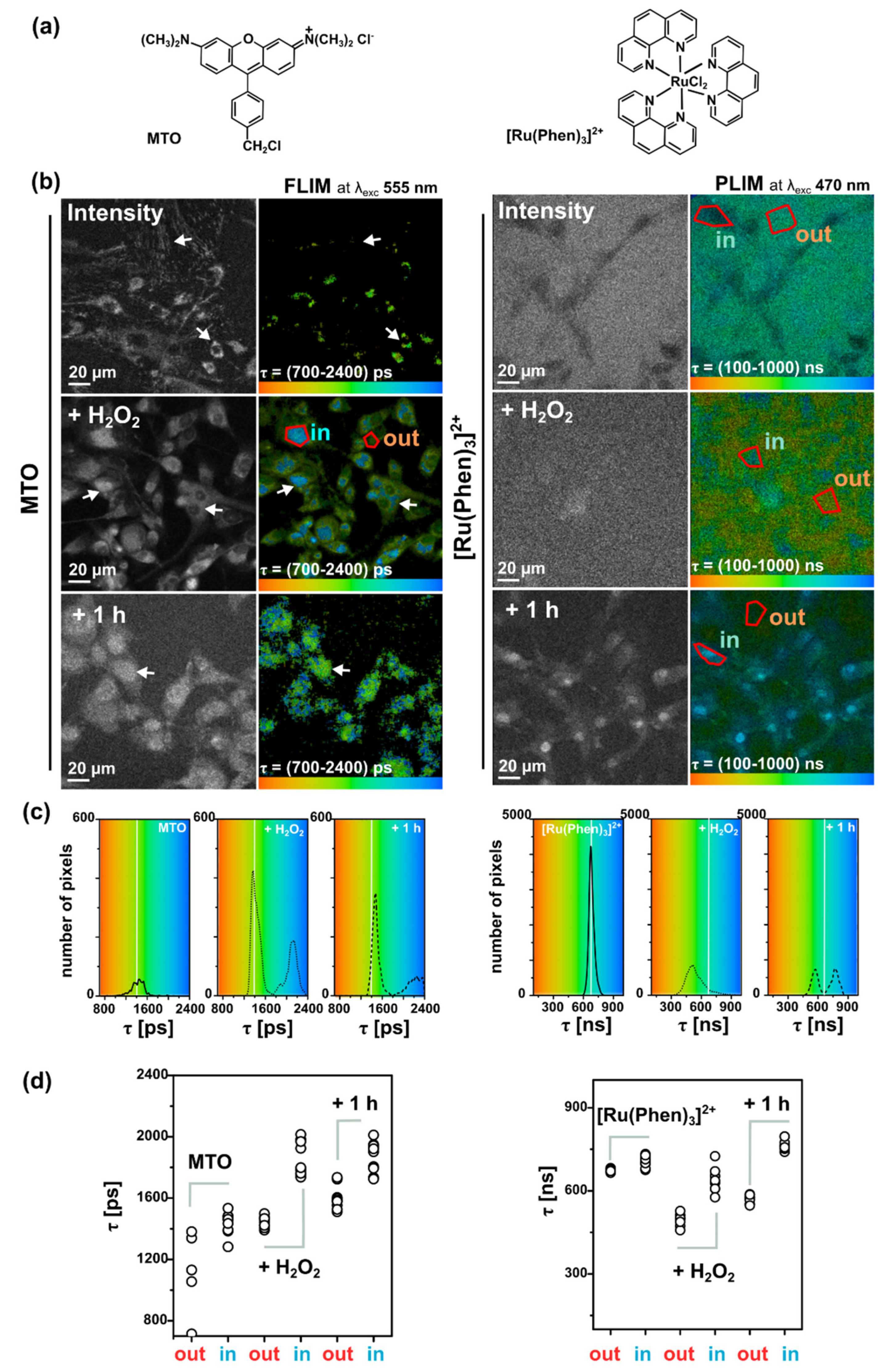 Molecules 26 00485 g008