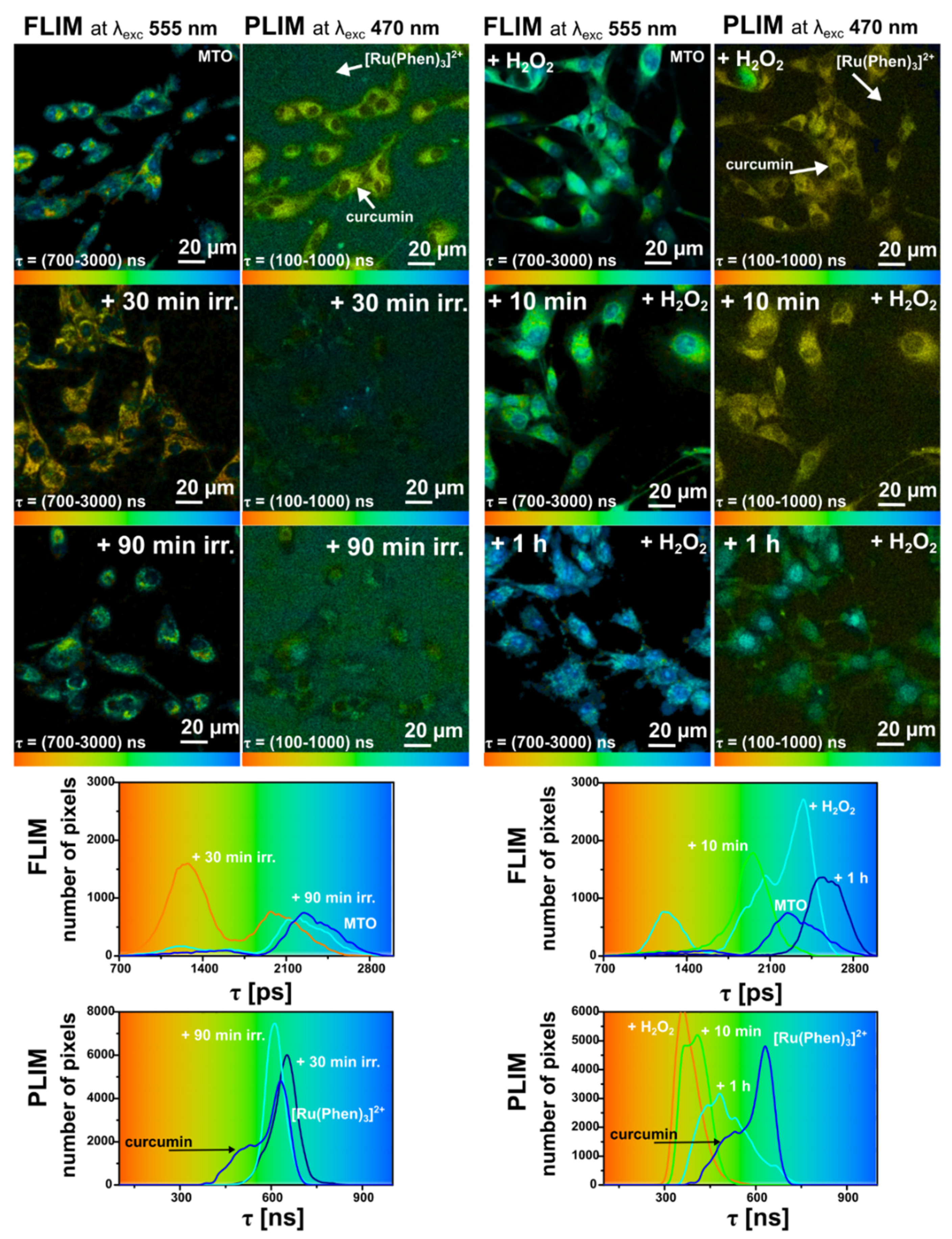 Molecules 26 00485 g011