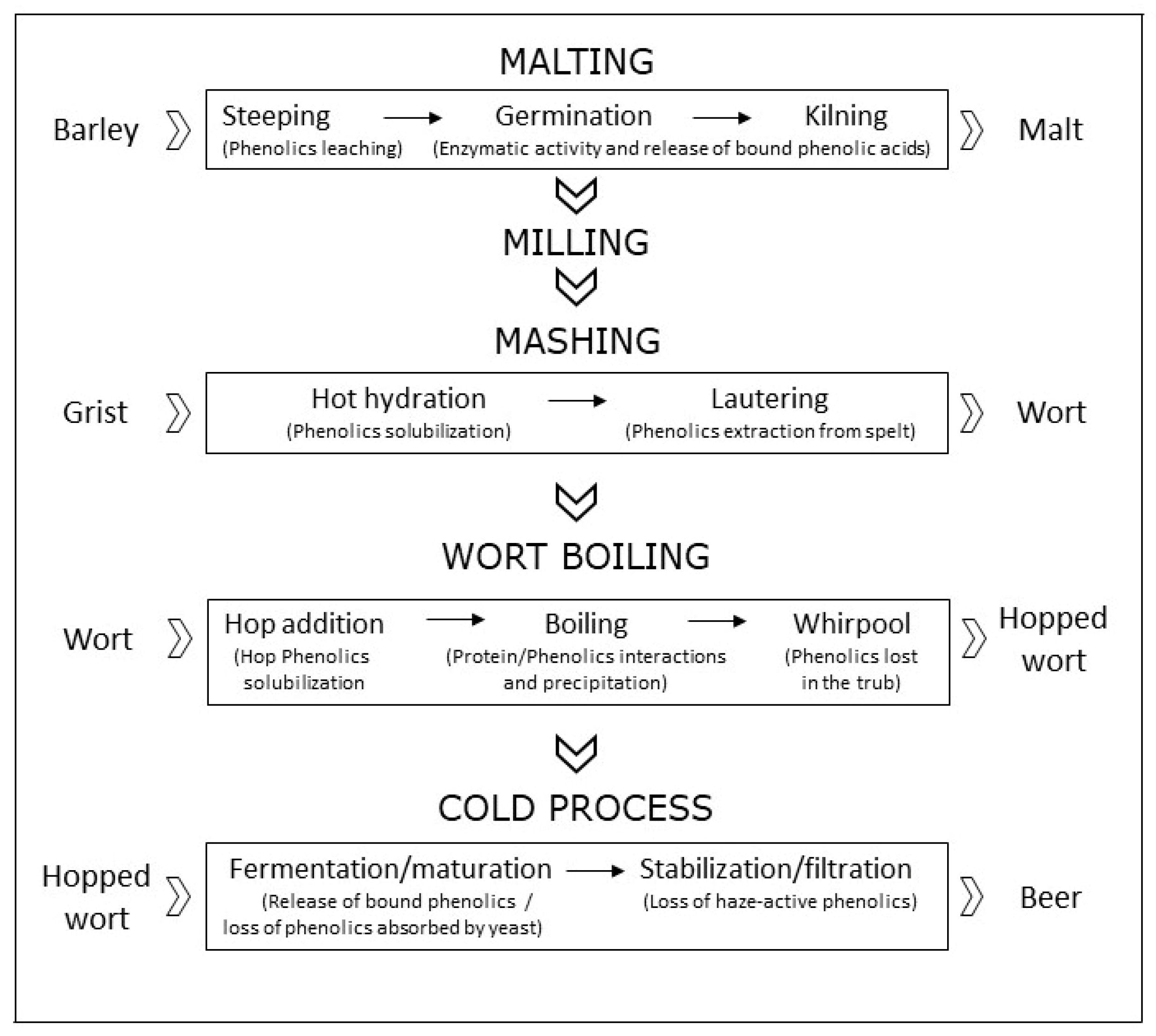 Molecules 26 00486 g001