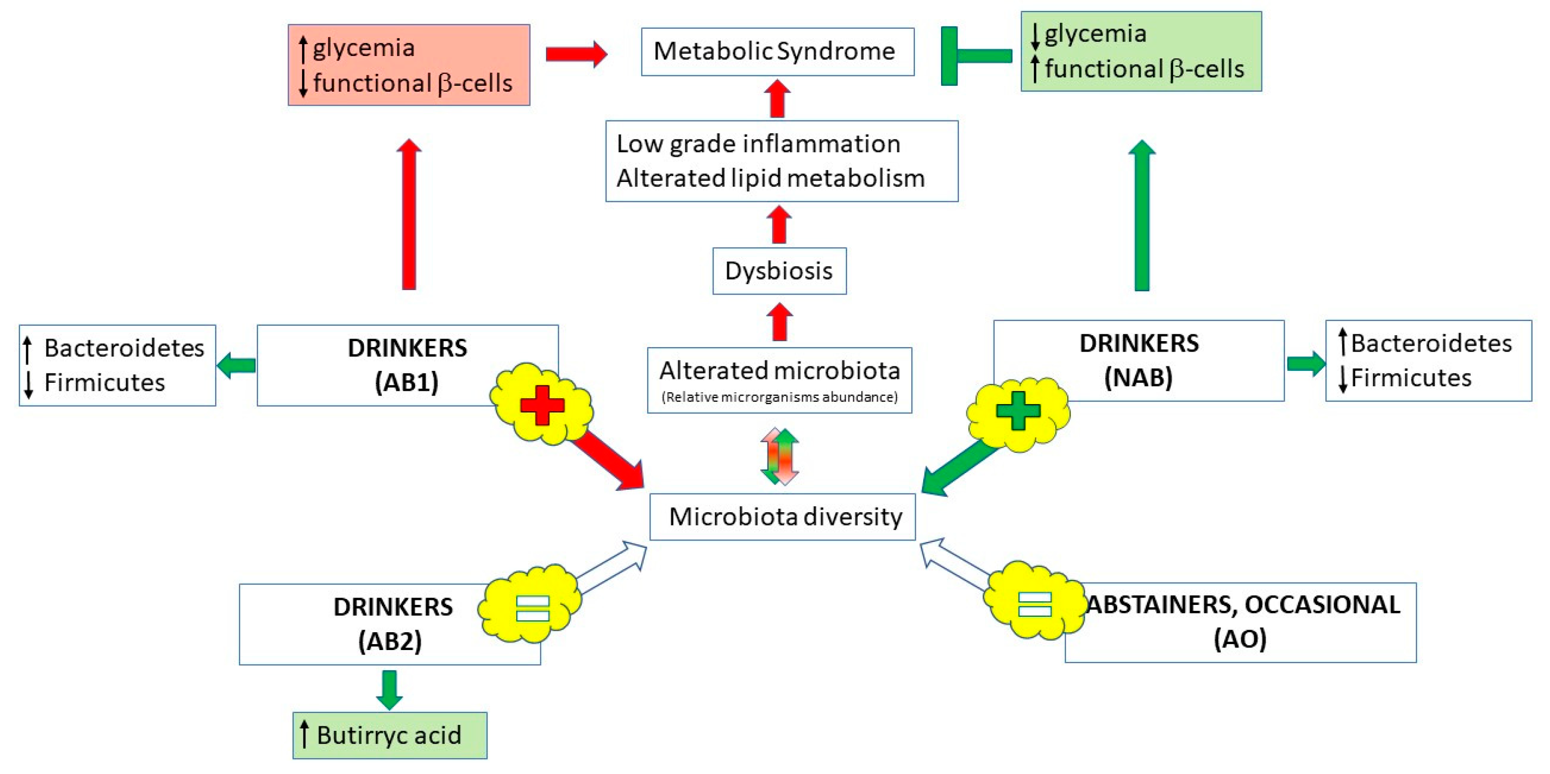 Molecules 26 00486 g002