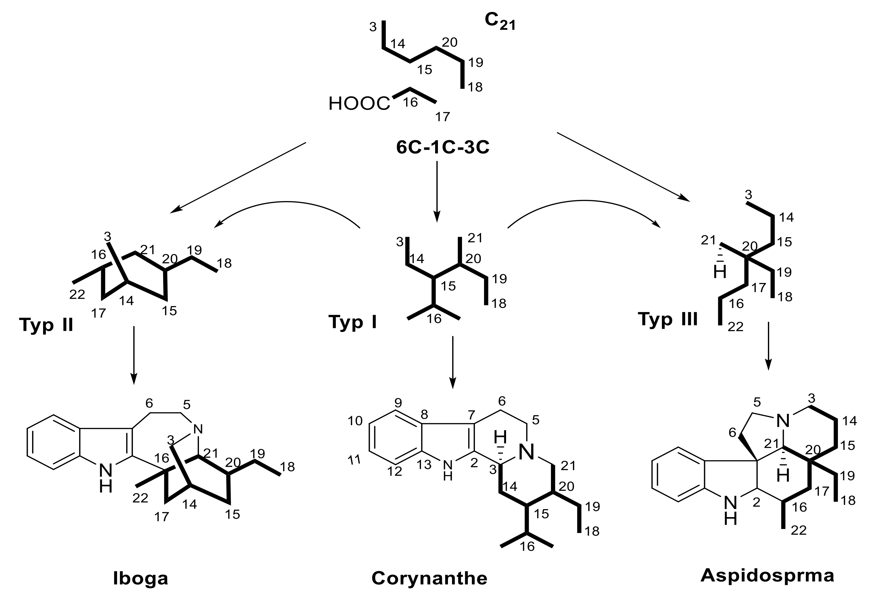 Molecules 26 00488 g001