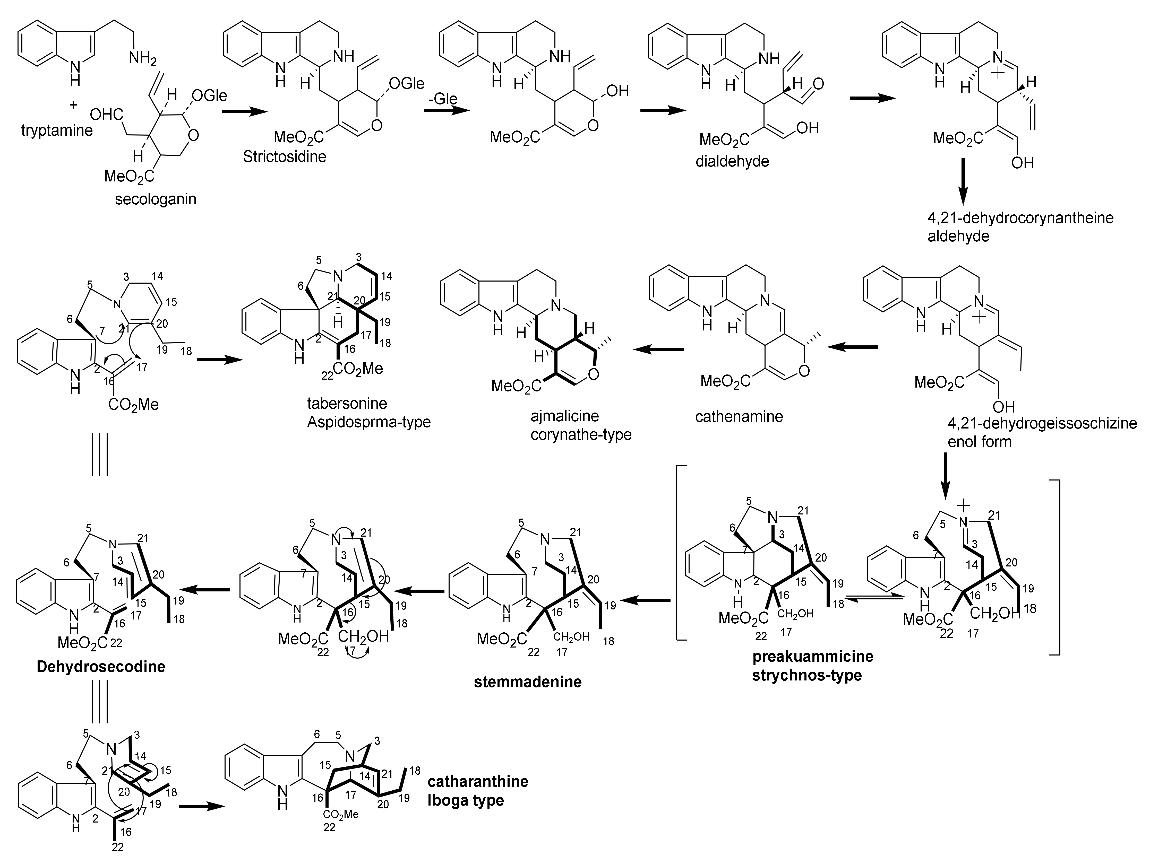 Molecules 26 00488 sch001